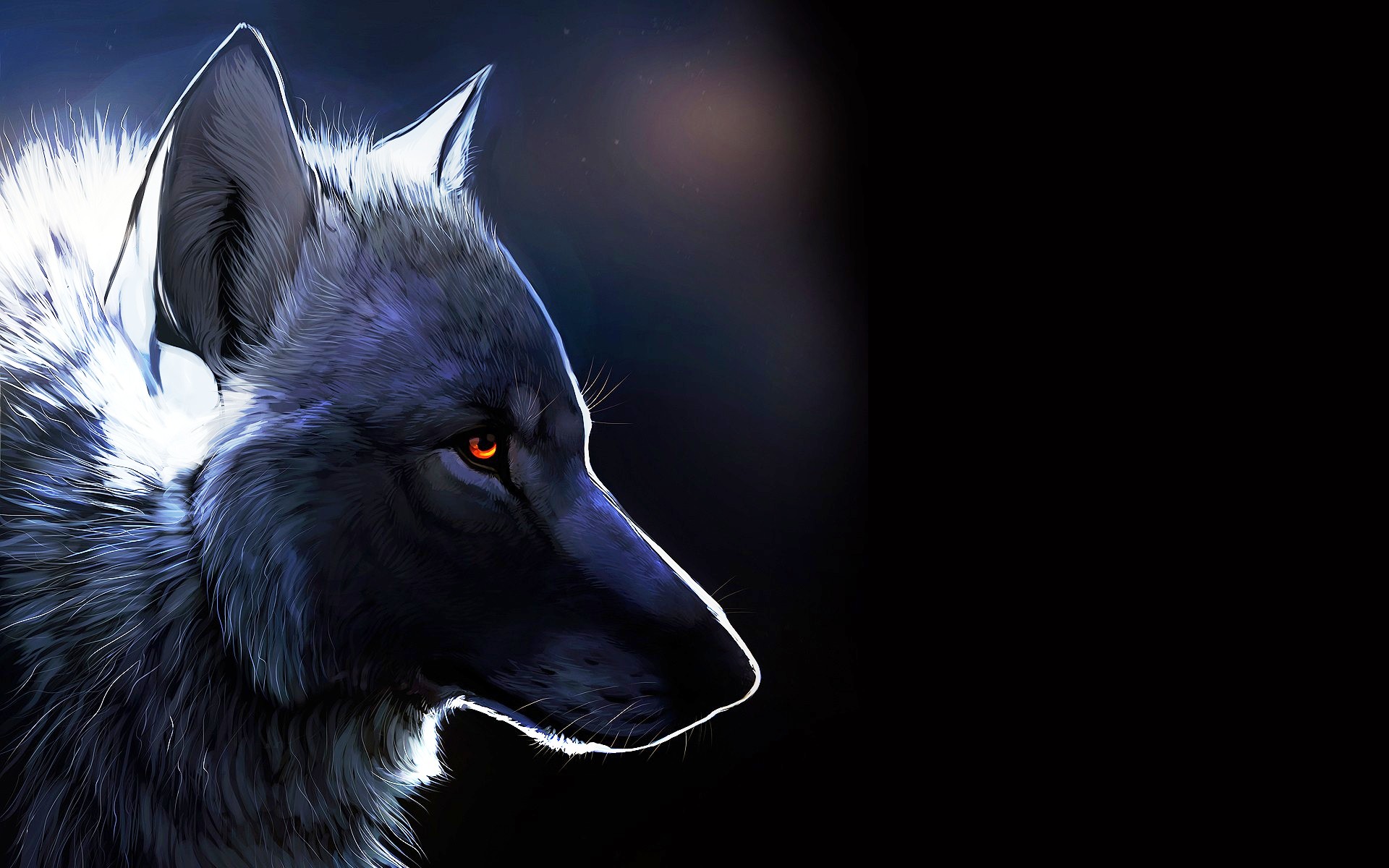 Animal Wolf Wallpaper