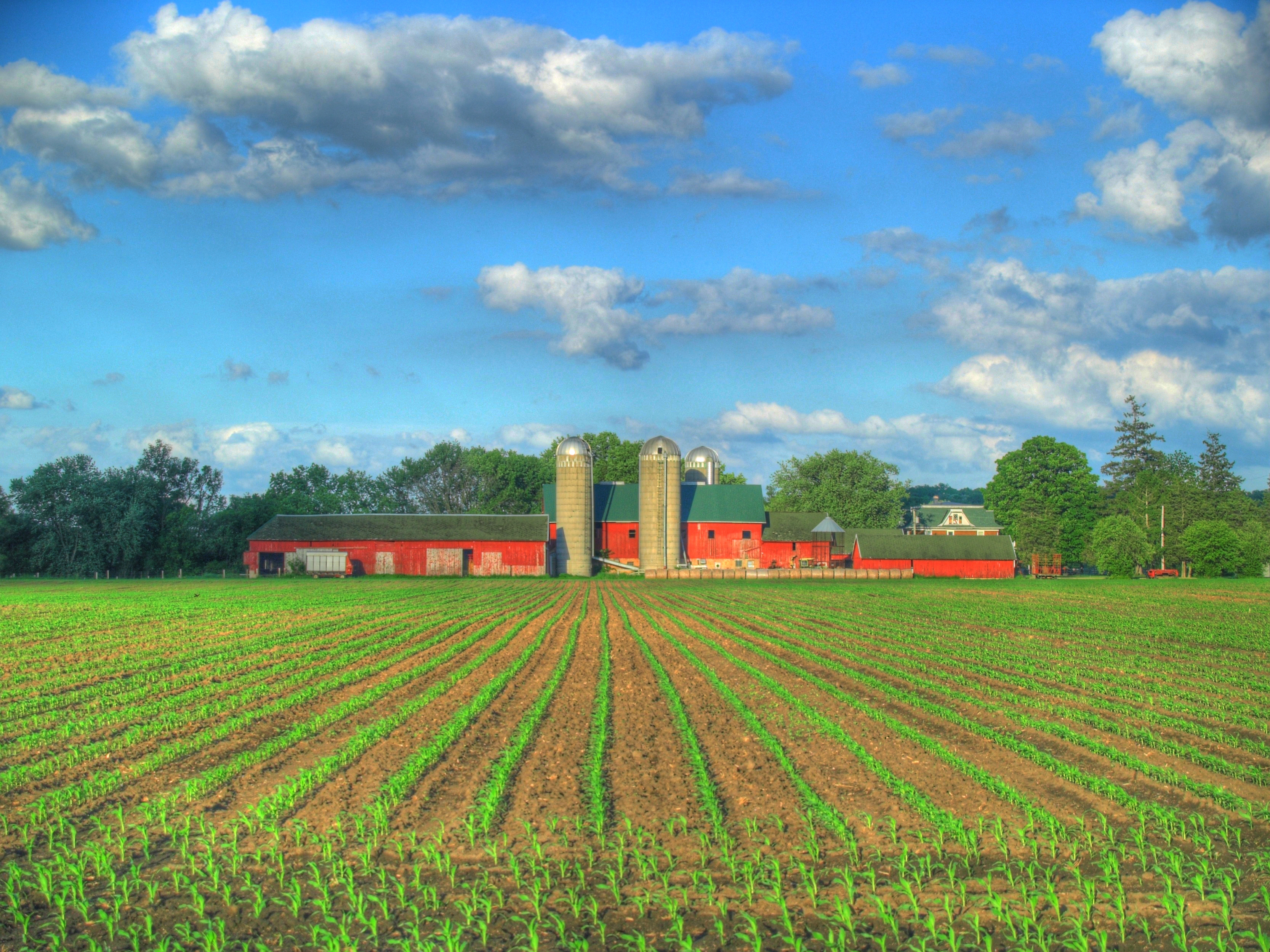 Farm Computer Wallpapers, Desktop Backgrounds 3333x2499 ID345684