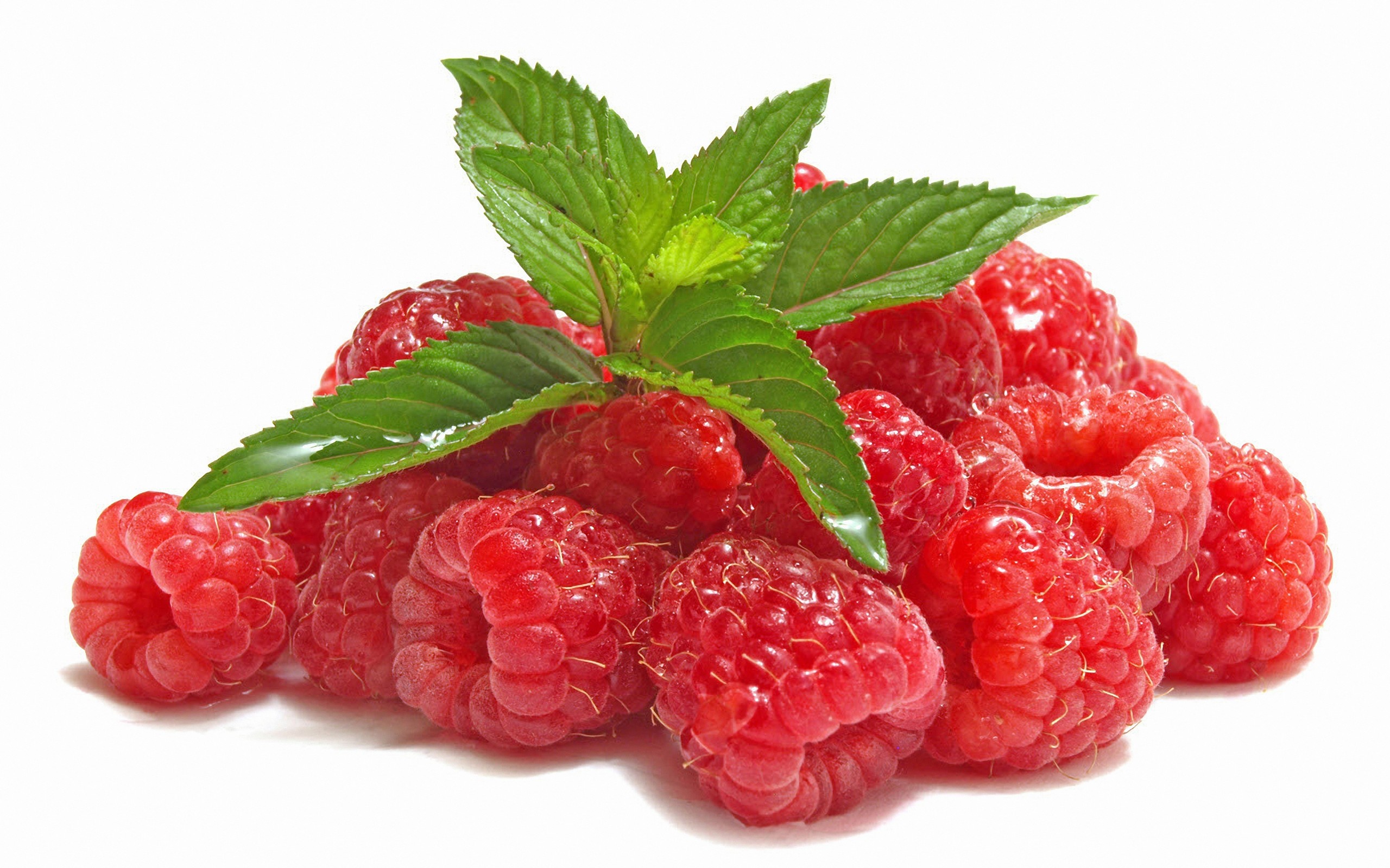 Raspberry In Spanish Translation at racheldmeyers blog