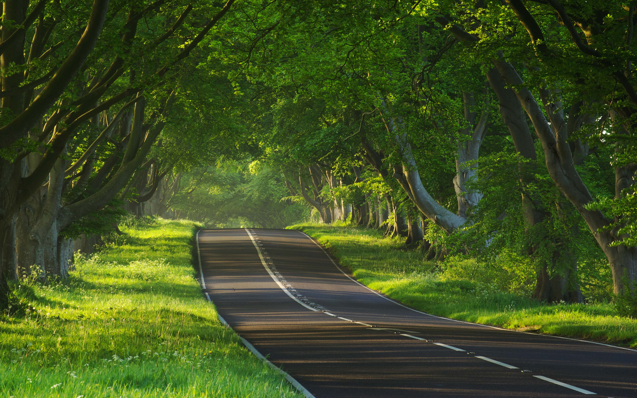 Straße HD Wallpaper Hintergrund 2560x1600 ID352528