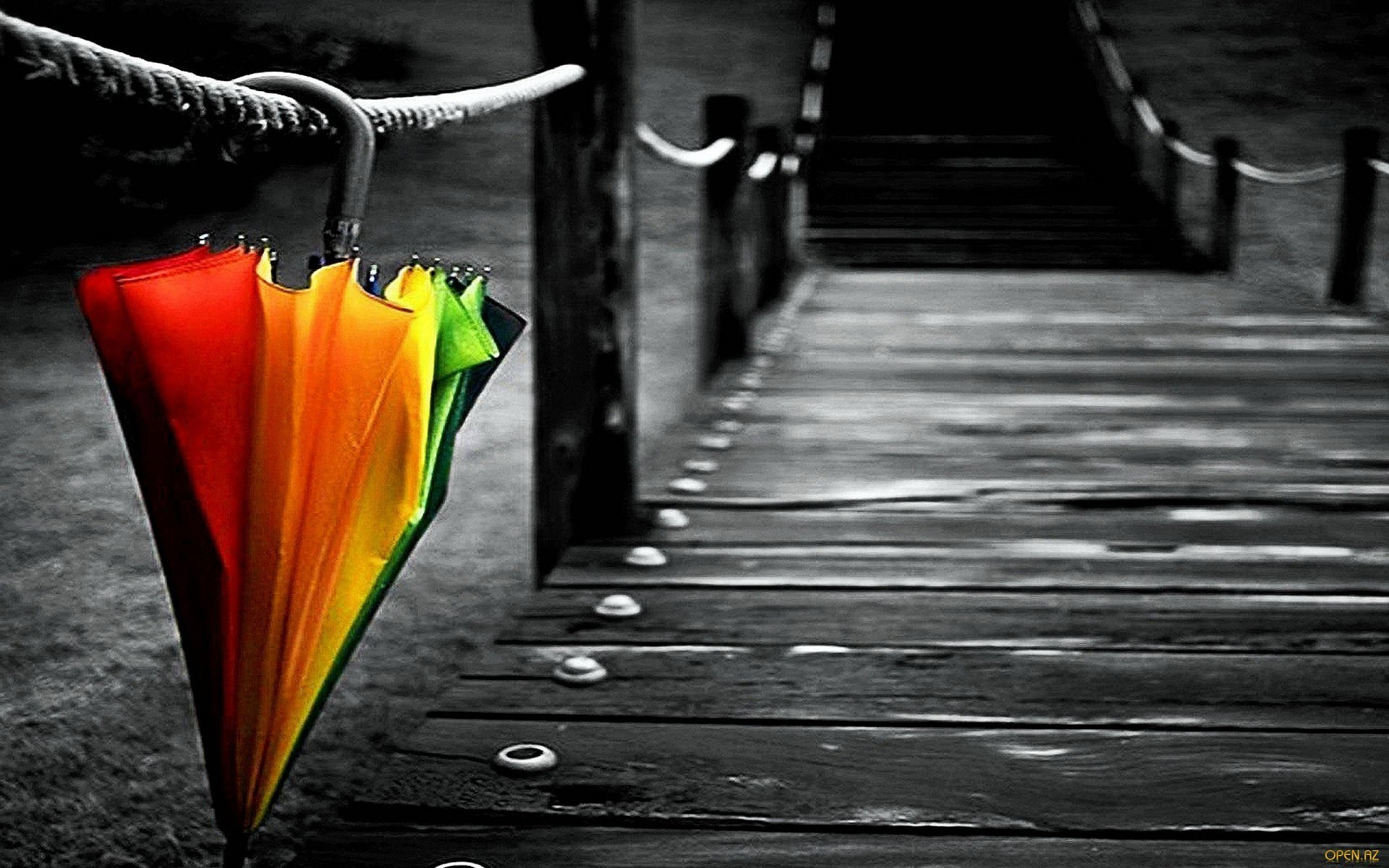 Download Photography Umbrella HD Wallpaper