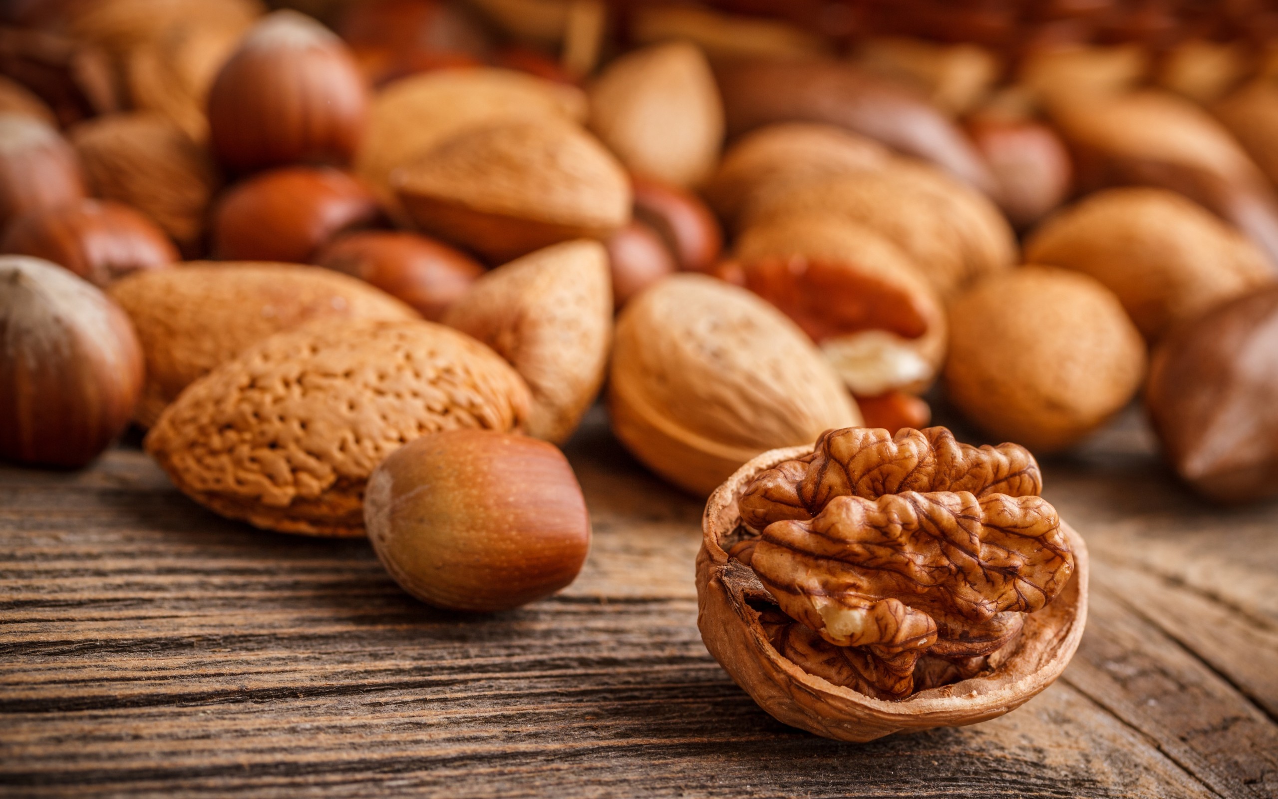 Download Food Nut HD Wallpaper