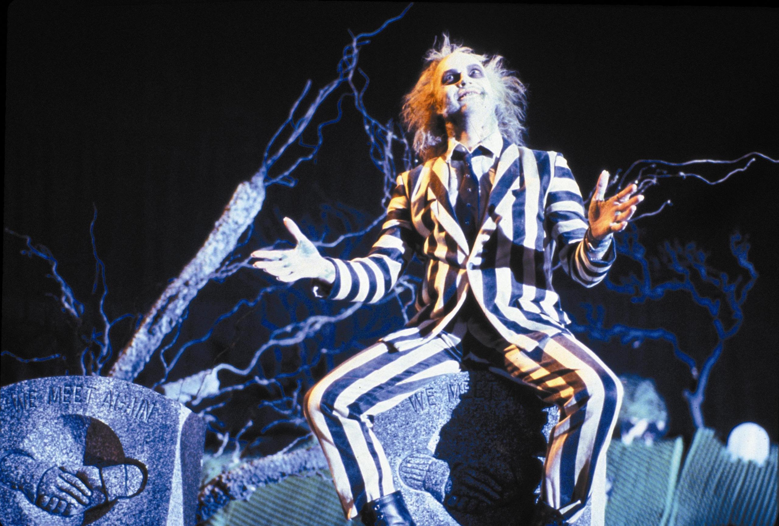 Beetlejuice Full HD Wallpaper and Background Image 2560x1728 ID373358