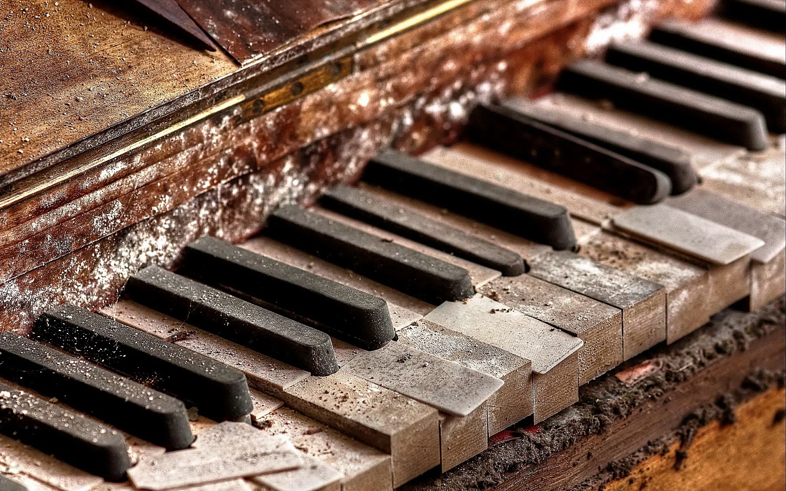 Piano HD Wallpaper Background Image 2560x1600 ID391322