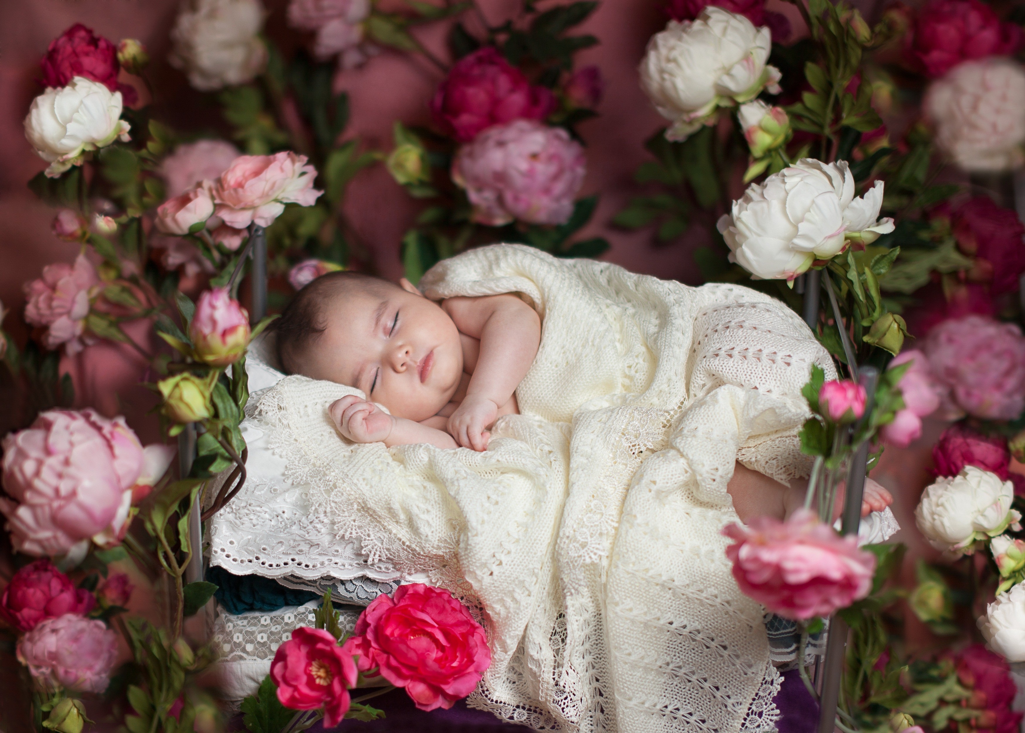 Download Photography Baby HD Wallpaper