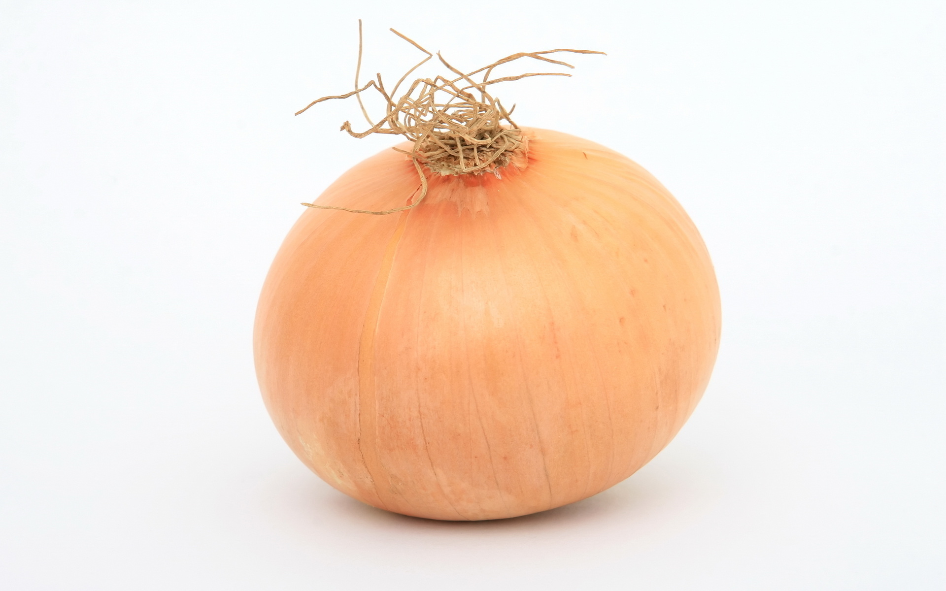 10+ Onion HD Wallpapers and Backgrounds