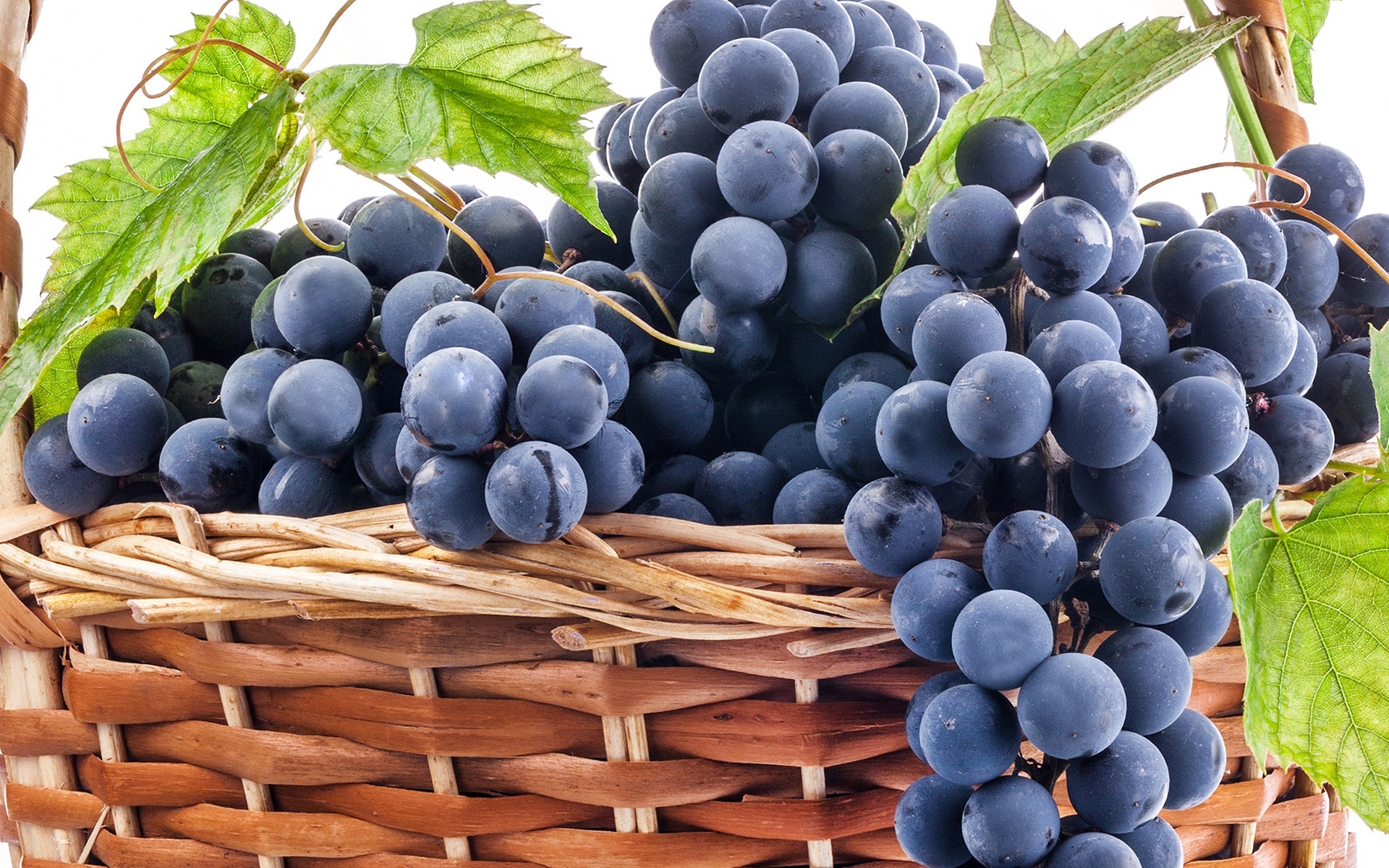 Grape Wallpaper