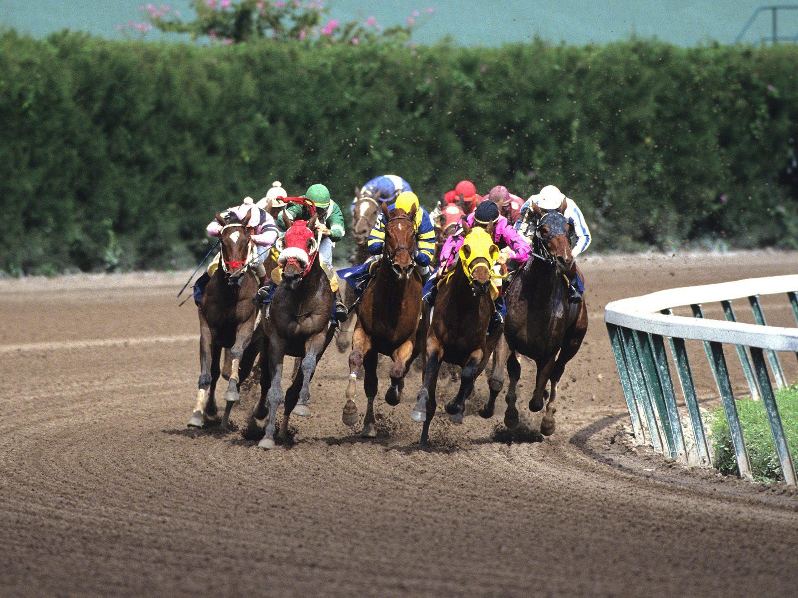 horse racing Computer Wallpapers, Desktop Backgrounds 1600x1200 ID