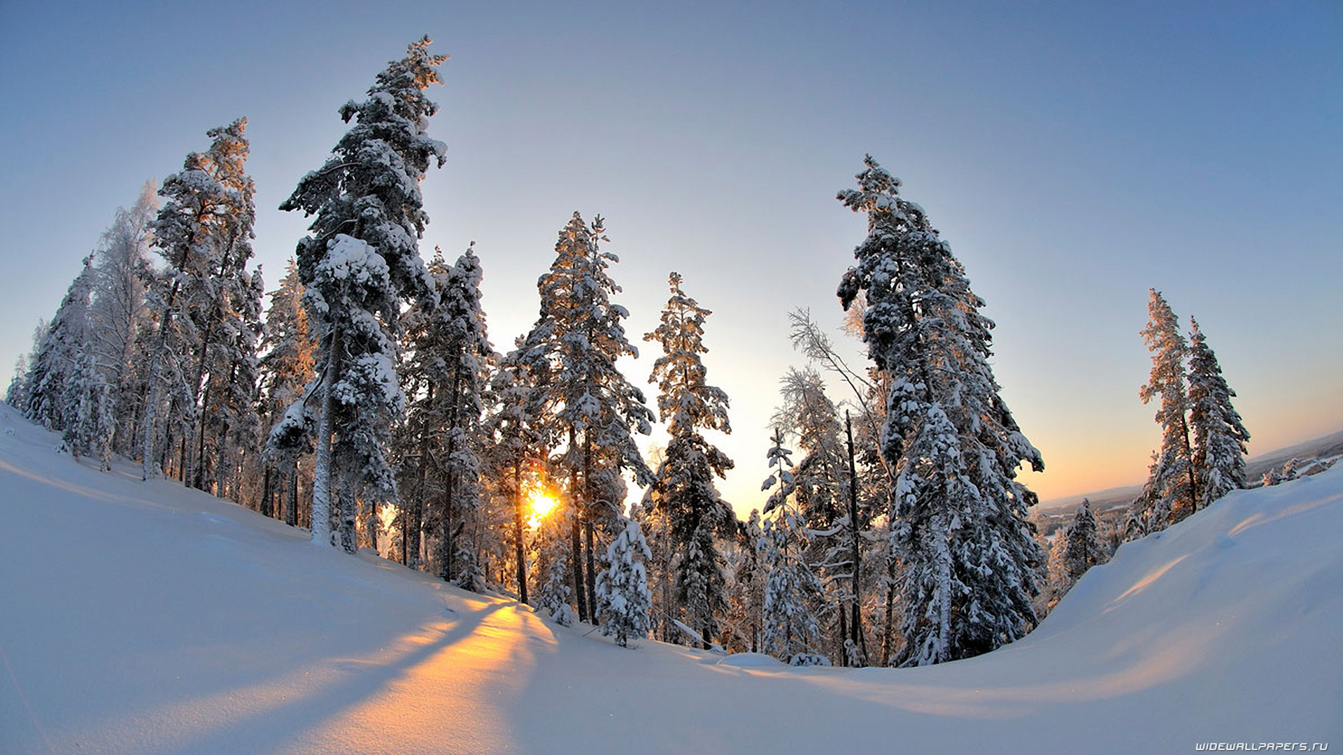 Winter HD Wallpaper Background Image 1920x1080
