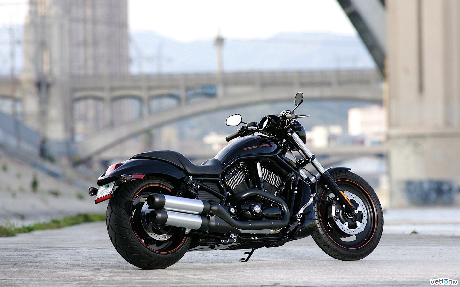 Download HarleyDavidson Night Rod Special Vehicle HarleyDavidson Night Rod HD Wallpaper