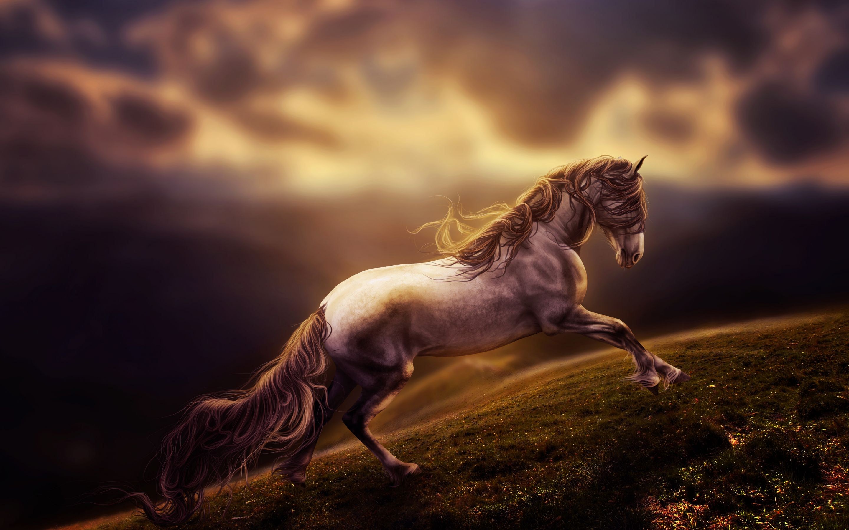 Download Painting Animal Horse HD Wallpaper