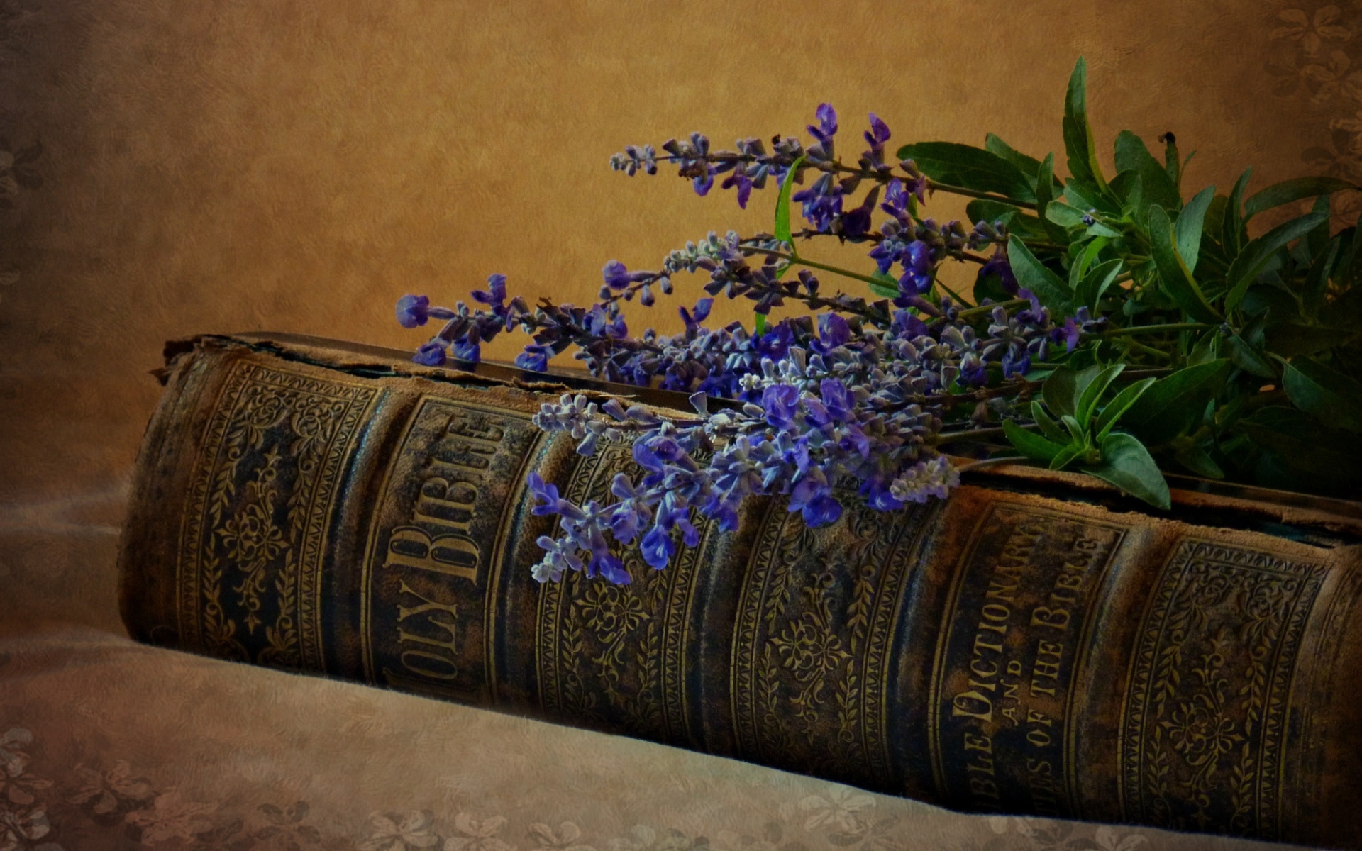 Beautiful old Bible Full HD Wallpaper and Background Image 1920x1200