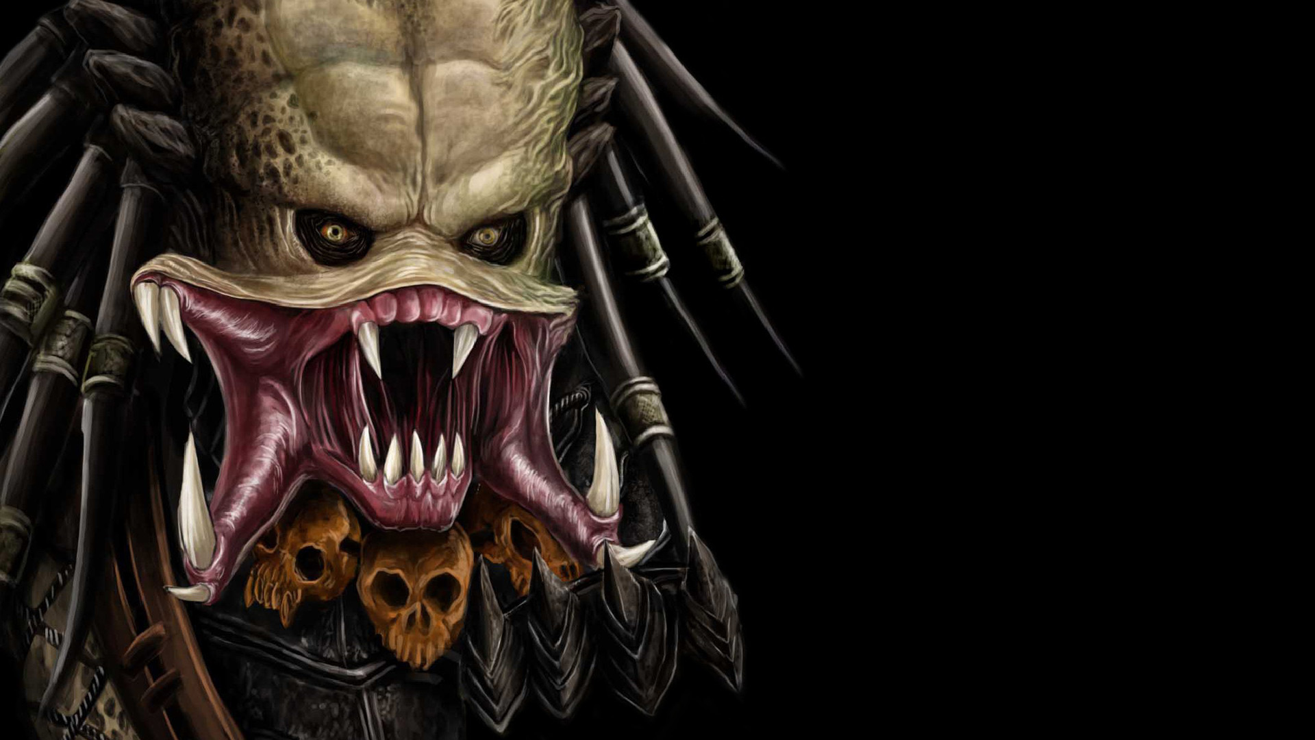 Predator Full HD Wallpaper and Background Image