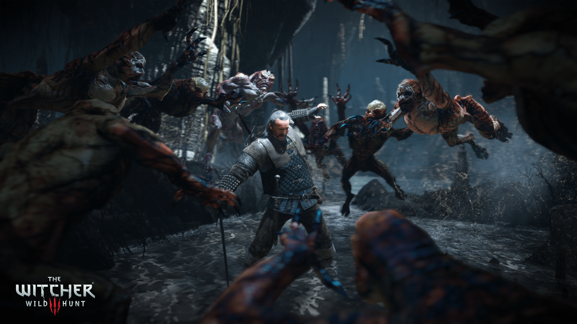 The Witcher 3 Wild Hunt HD Wallpaper Background Image 1920x1080