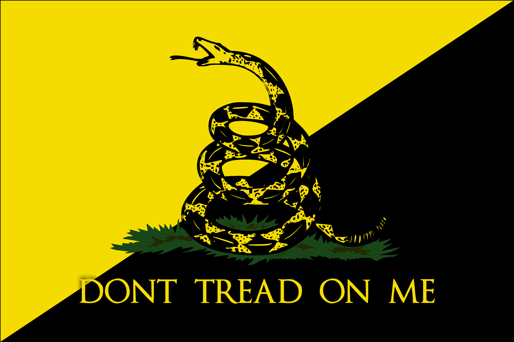 Gadsden Flag Full HD Wallpaper and Background Image 2000x1333 ID571315