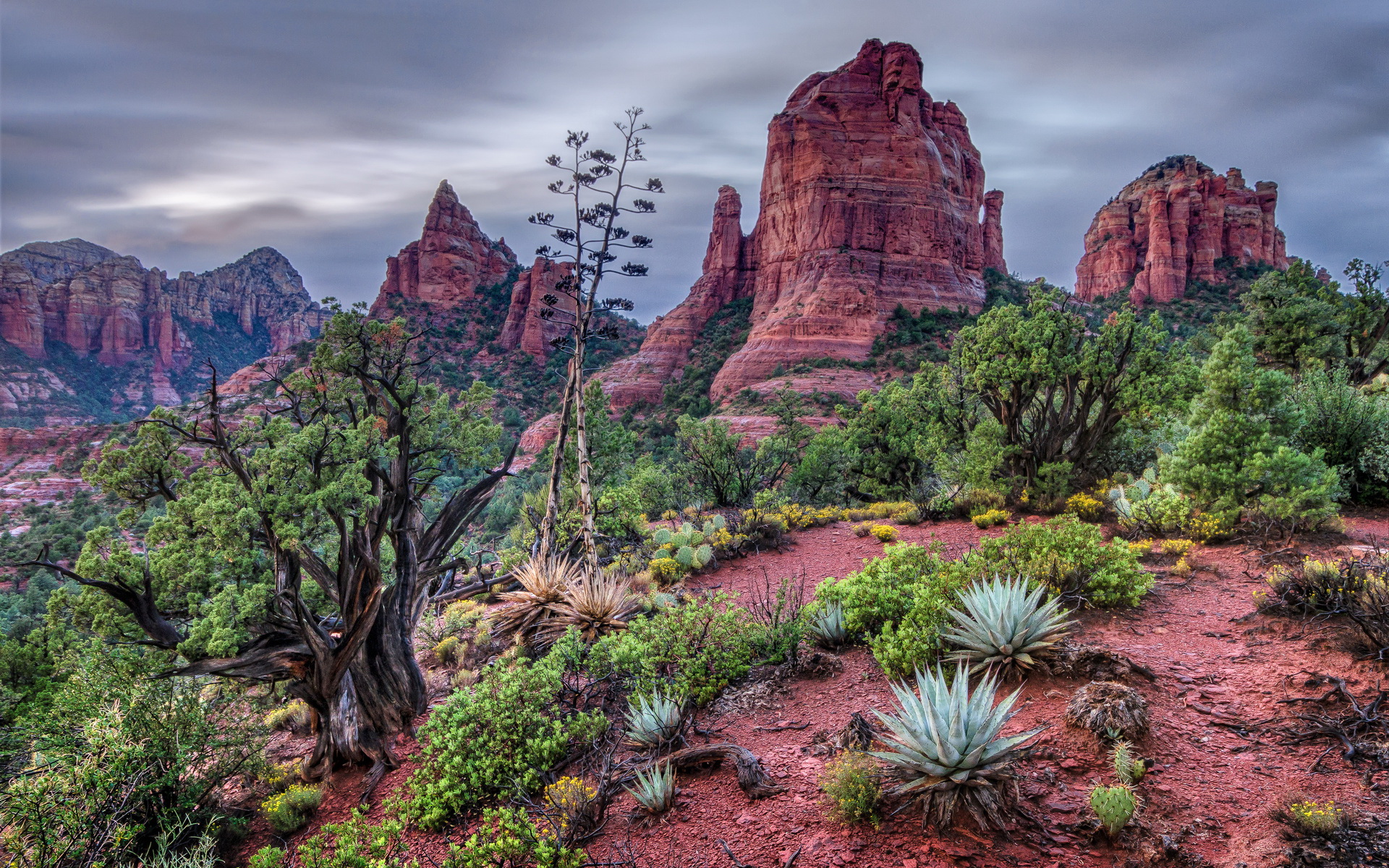 Download Arizona Sedona Nature Canyon HD Wallpaper by Michael Wilson