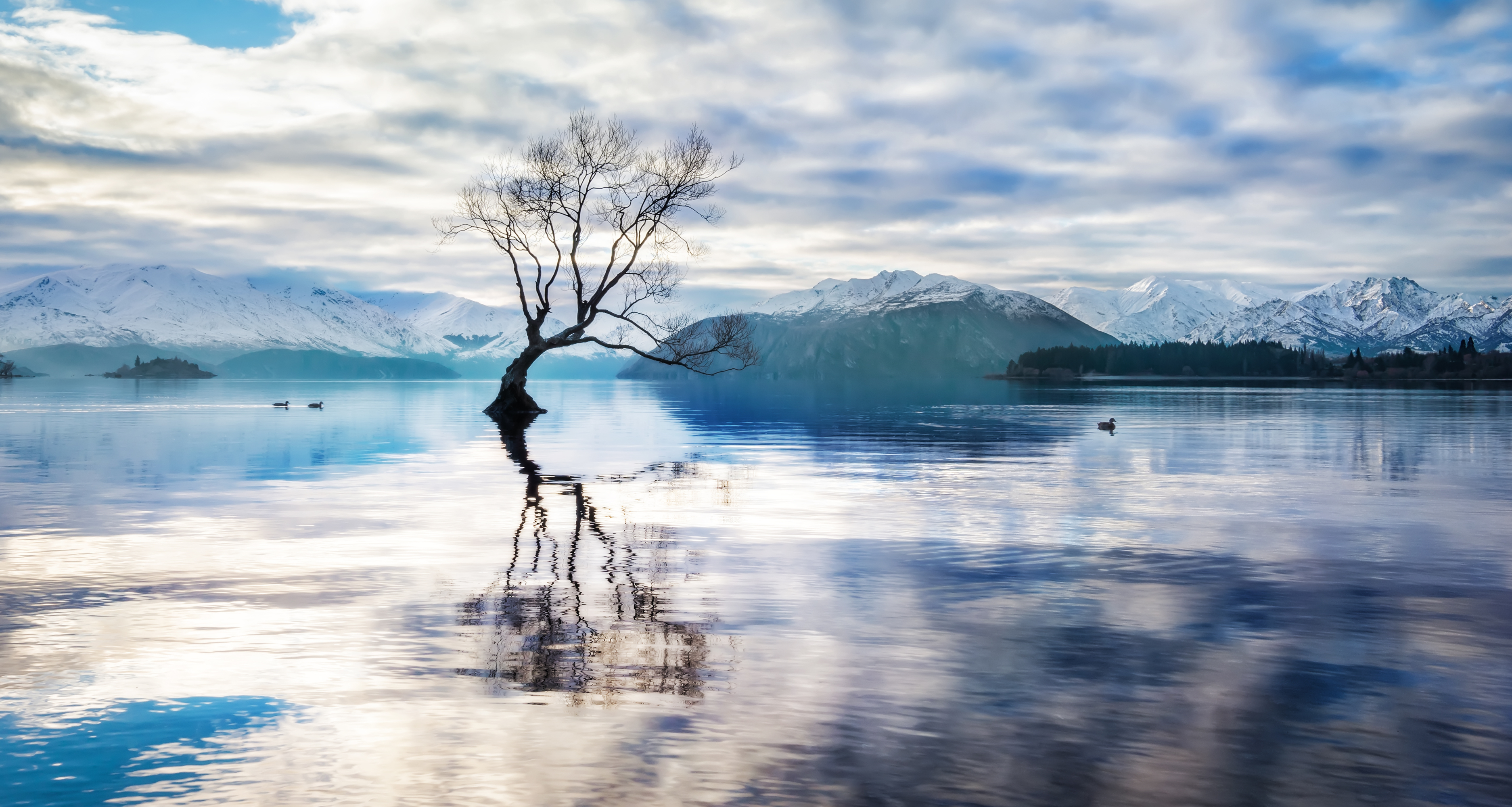 3 Lake Wanaka HD Wallpapers Background Images Wallpaper Abyss