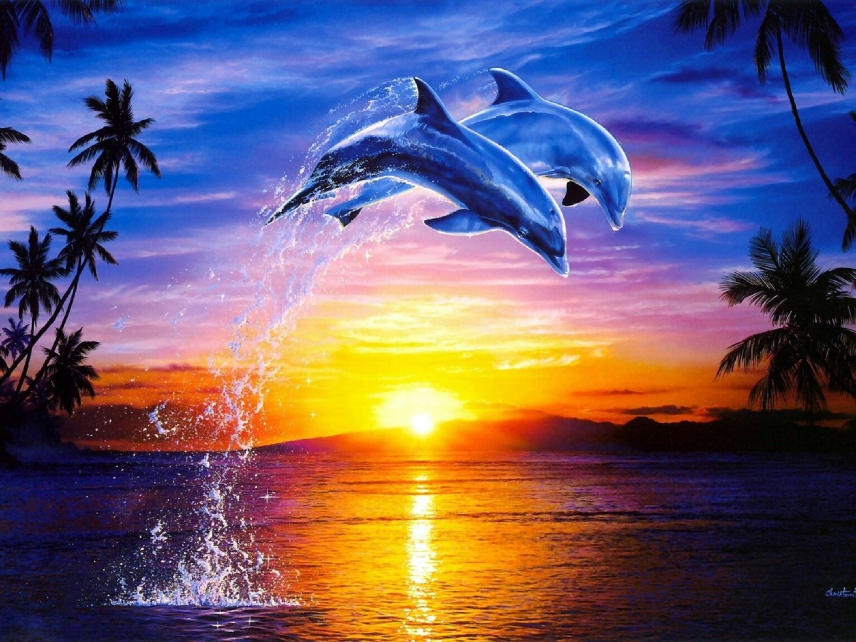 Dolphin Sunset Wallpaper and Hintergrund 1680x1260 ID679673
