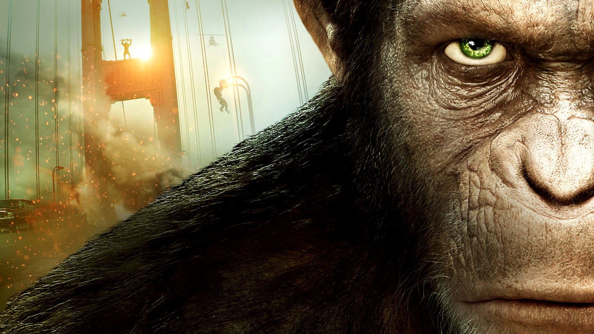 Dawn Of The Of The Apes HD Wallpaper Background Image 1920x1080