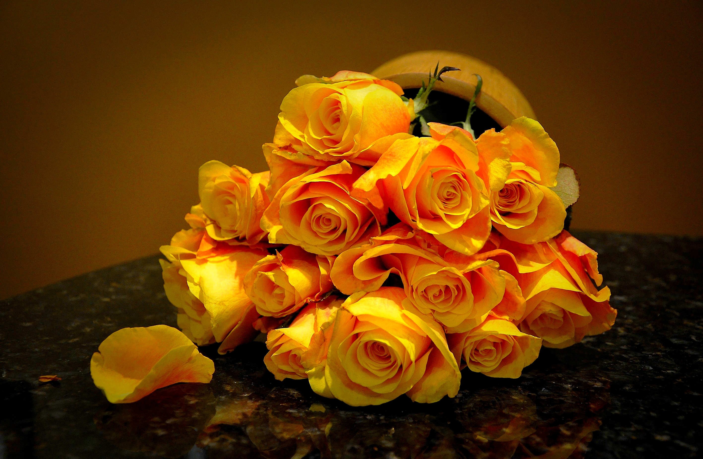 Download Yellow Flower Yellow Rose Still Life Flower Nature Rose HD
