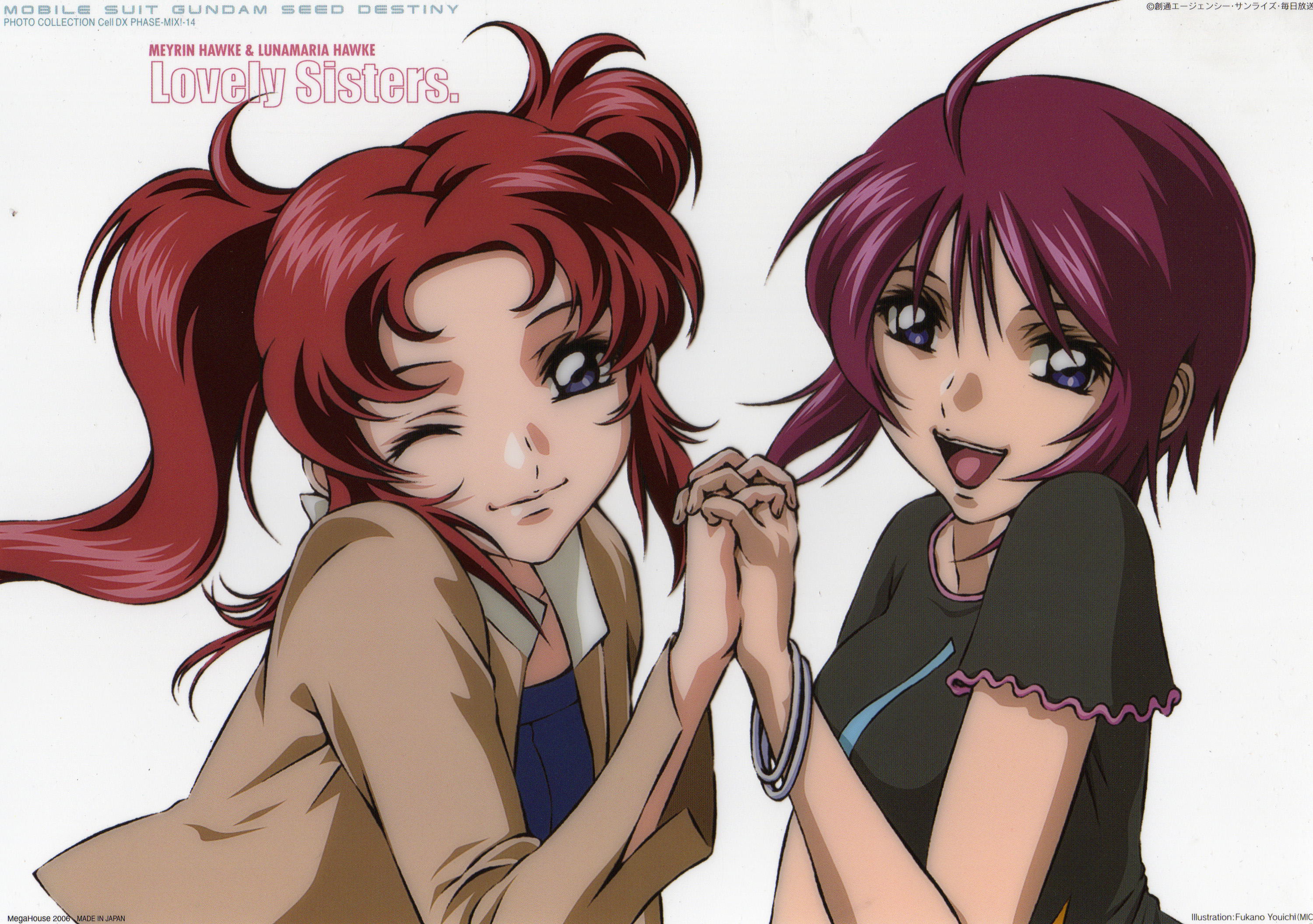 Gundam Seed Destiny Characters / Mobile Suit Gundam SEED Destiny Image