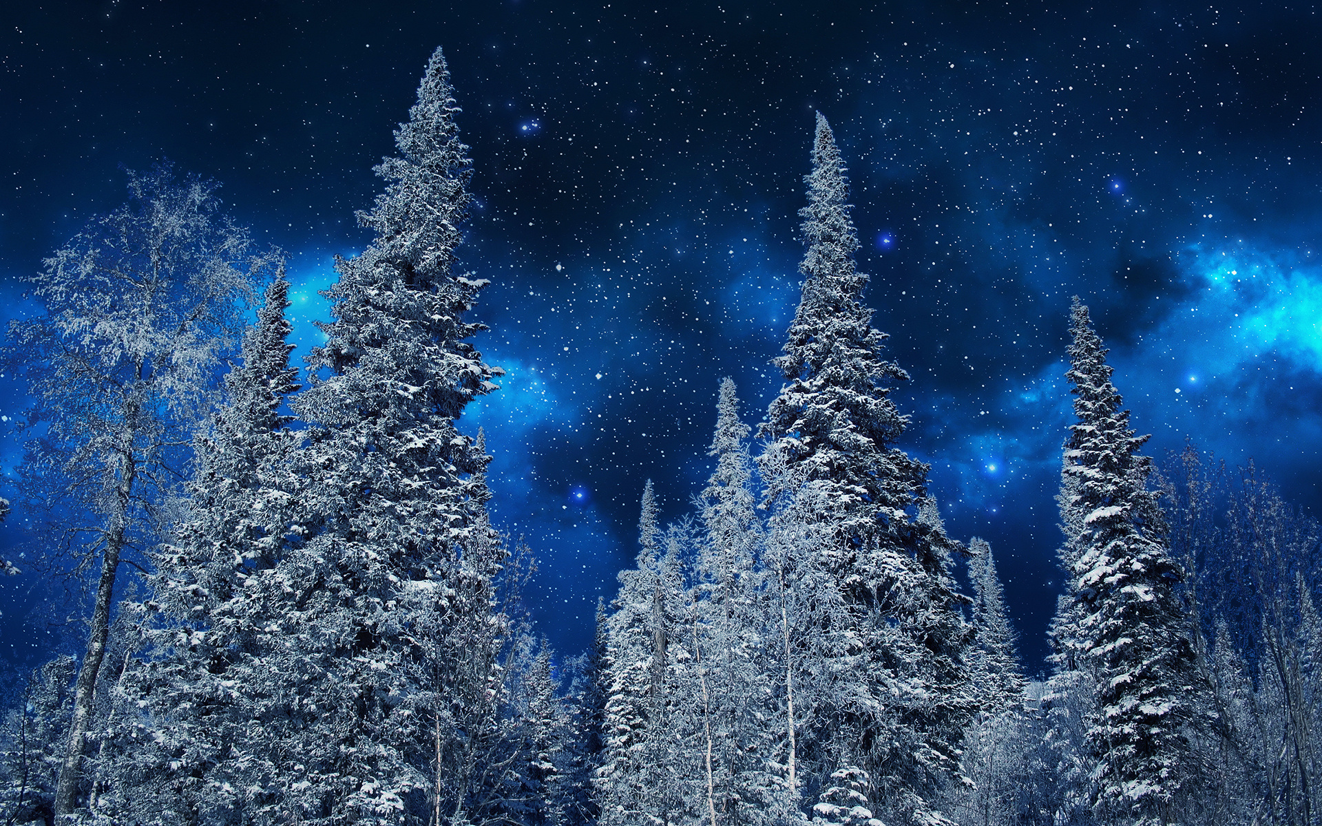 Winter Starry Night HD Wallpaper