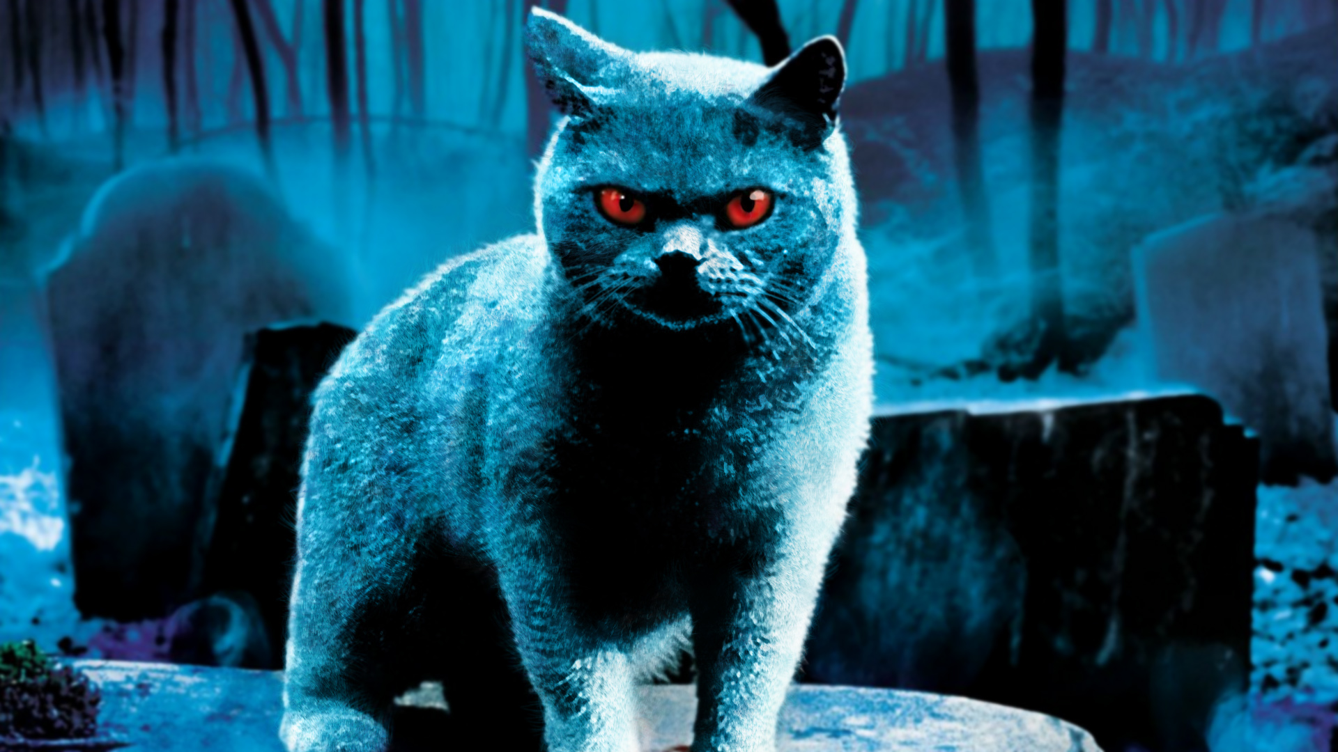 Pet Sematary (1989) HD Wallpapers and Backgrounds