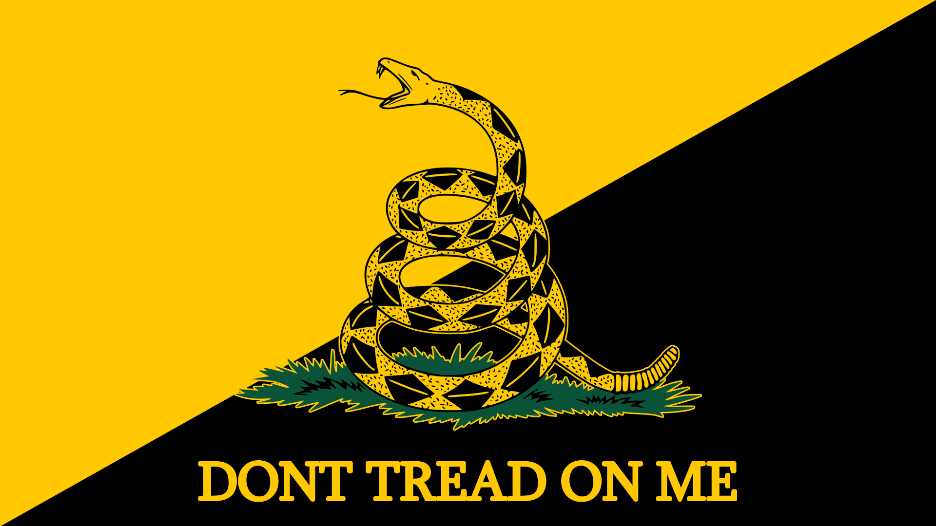 Gadsden Flag HD Wallpaper Background Image 1920x1080