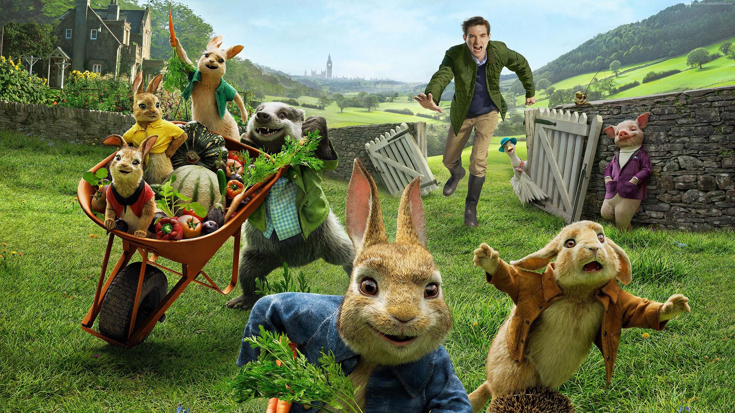 Download Rabbit Movie Peter Rabbit HD Wallpaper