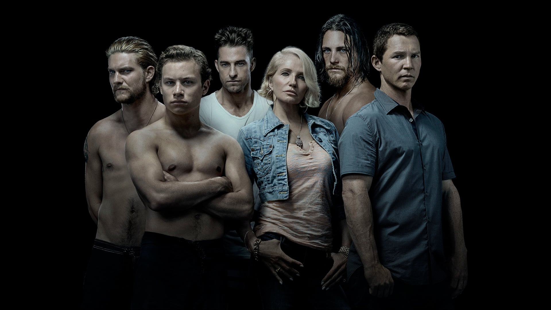 Download TV Show Animal Kingdom HD Wallpaper