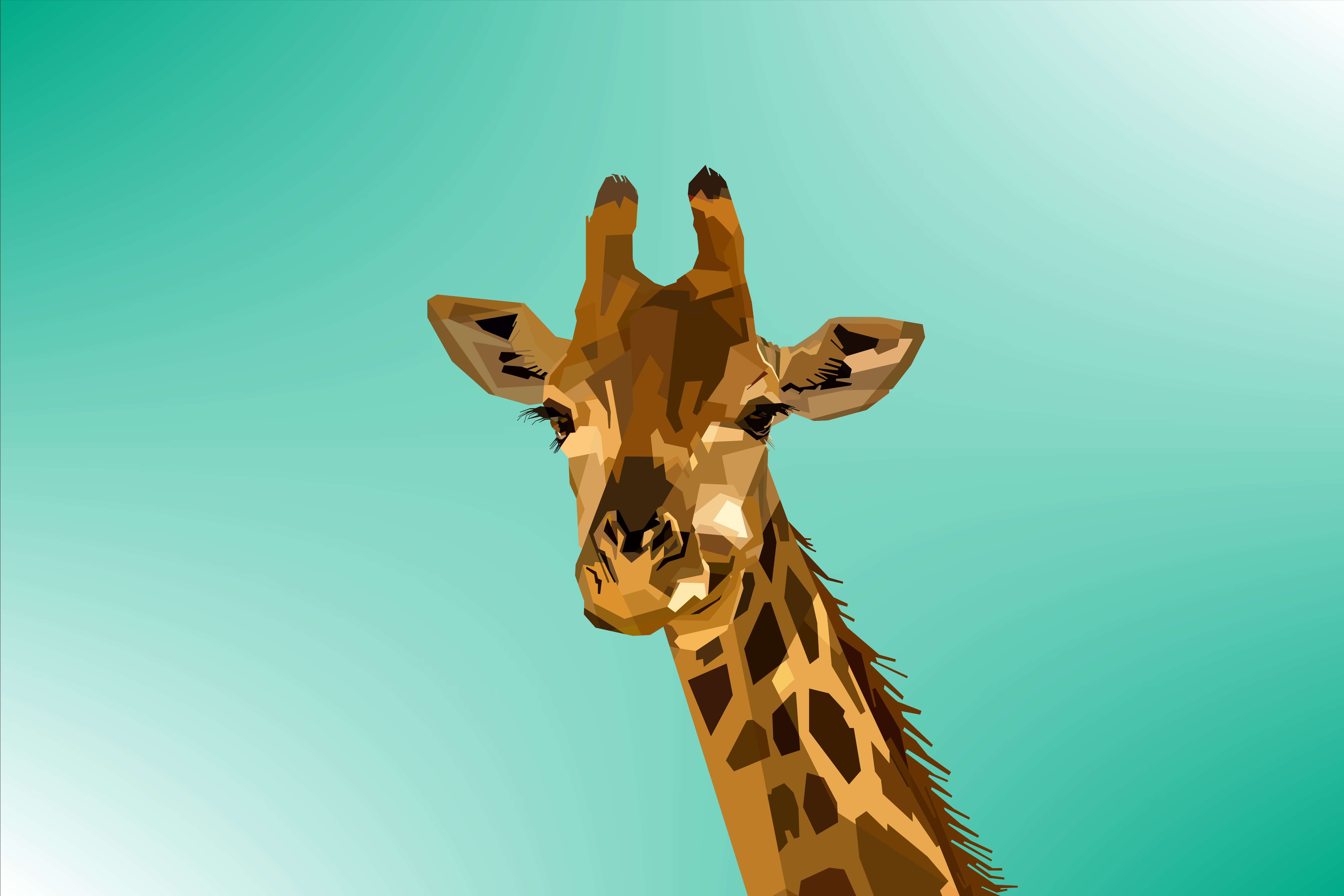 4K Giraffe Wallpapers Hintergründe