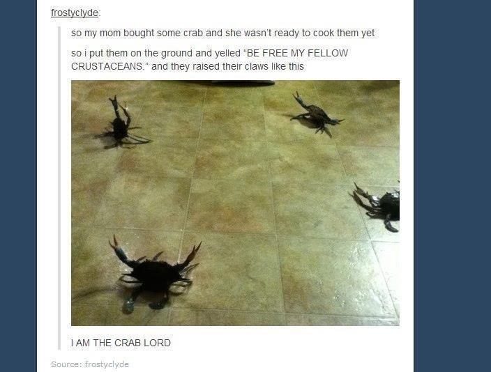 Meanwhile in paris hilton's crotch Meme by JamaI ) Memedroid