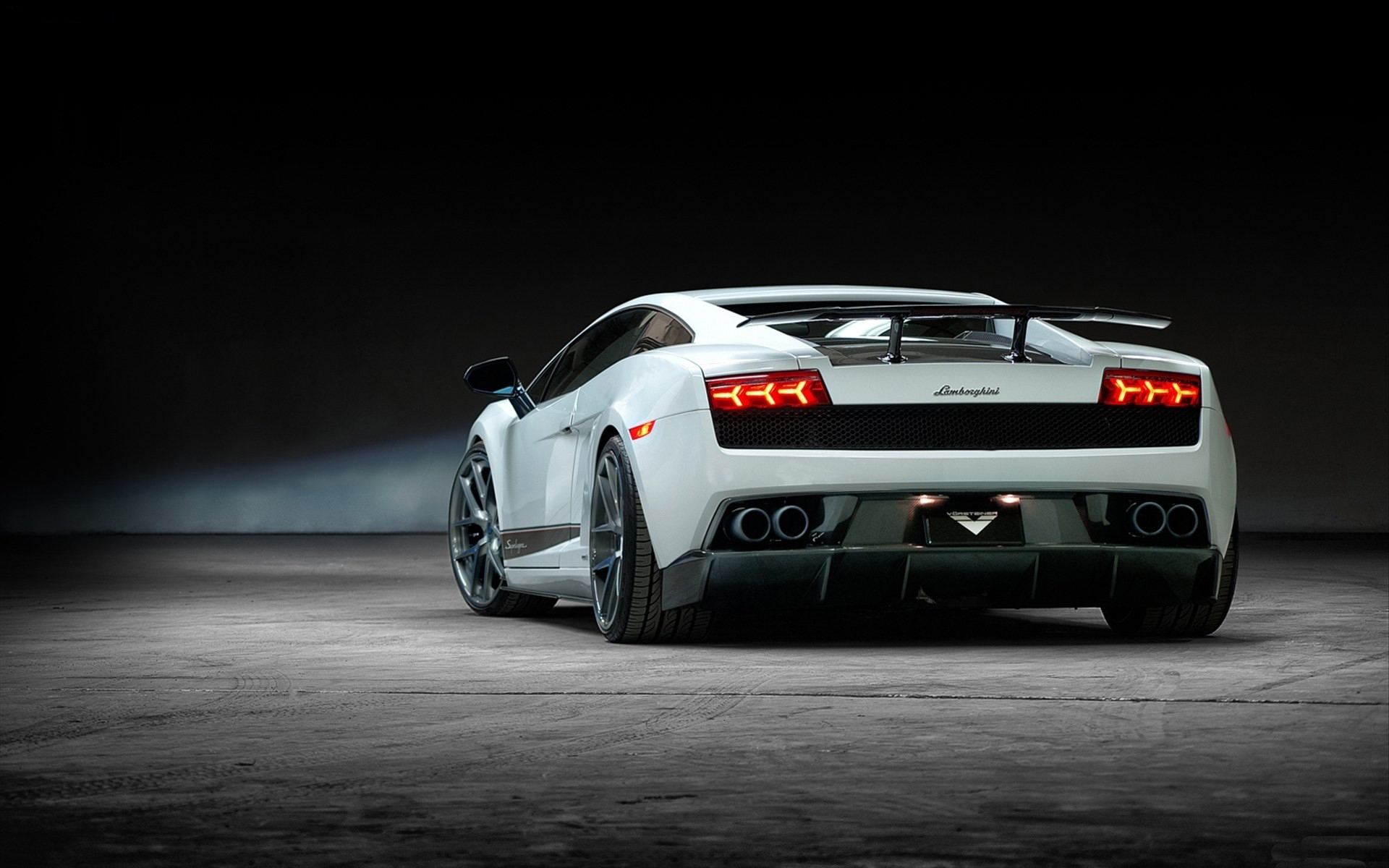 White Gallardo Wallpaper