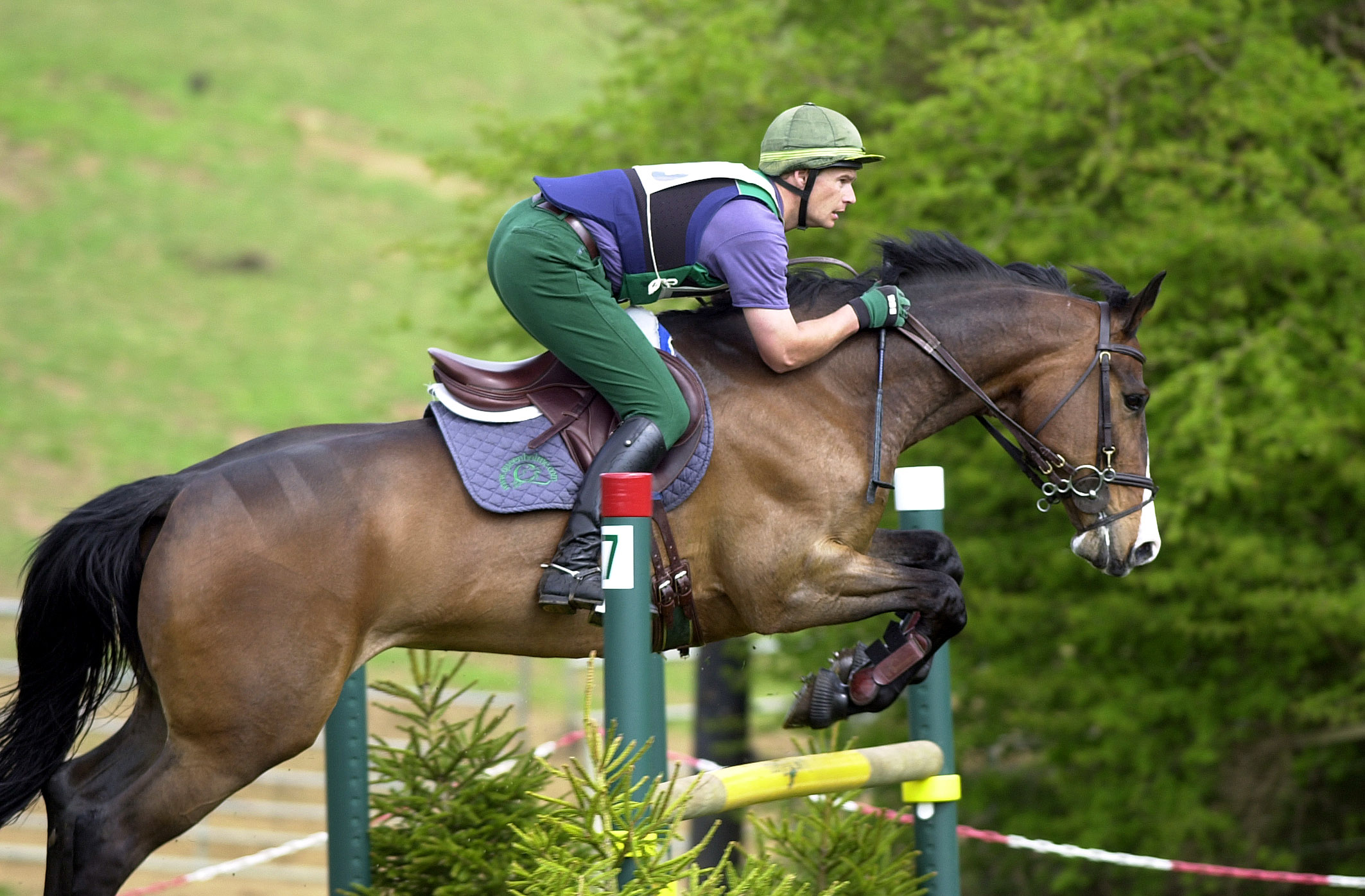 Show Jumping HD Wallpaper Background Image 2126x1395