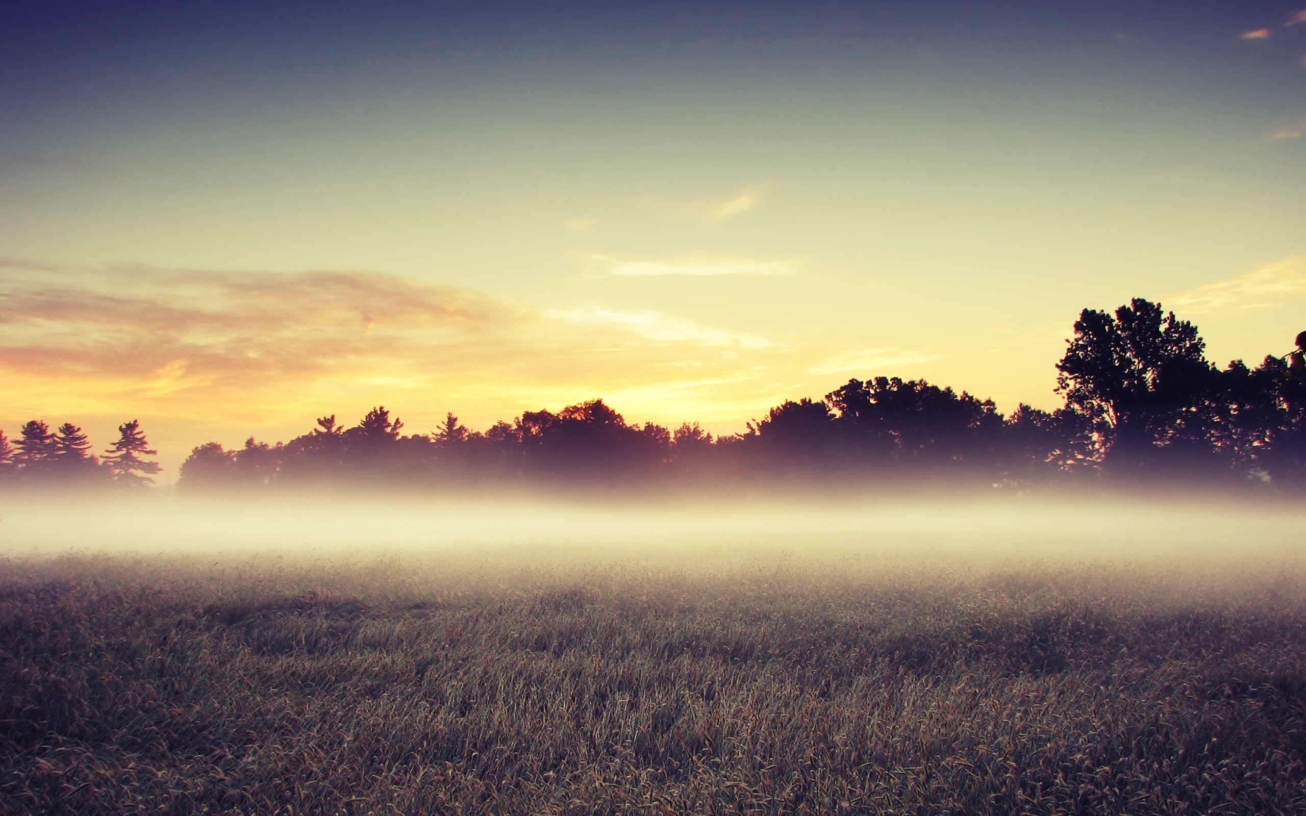 Nebel HD Wallpaper Hintergrund 2560x1600 ID357525