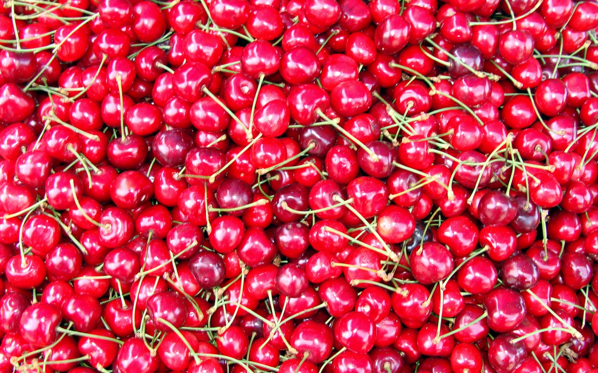 Cherry HD Wallpaper Background Image 1920x1200