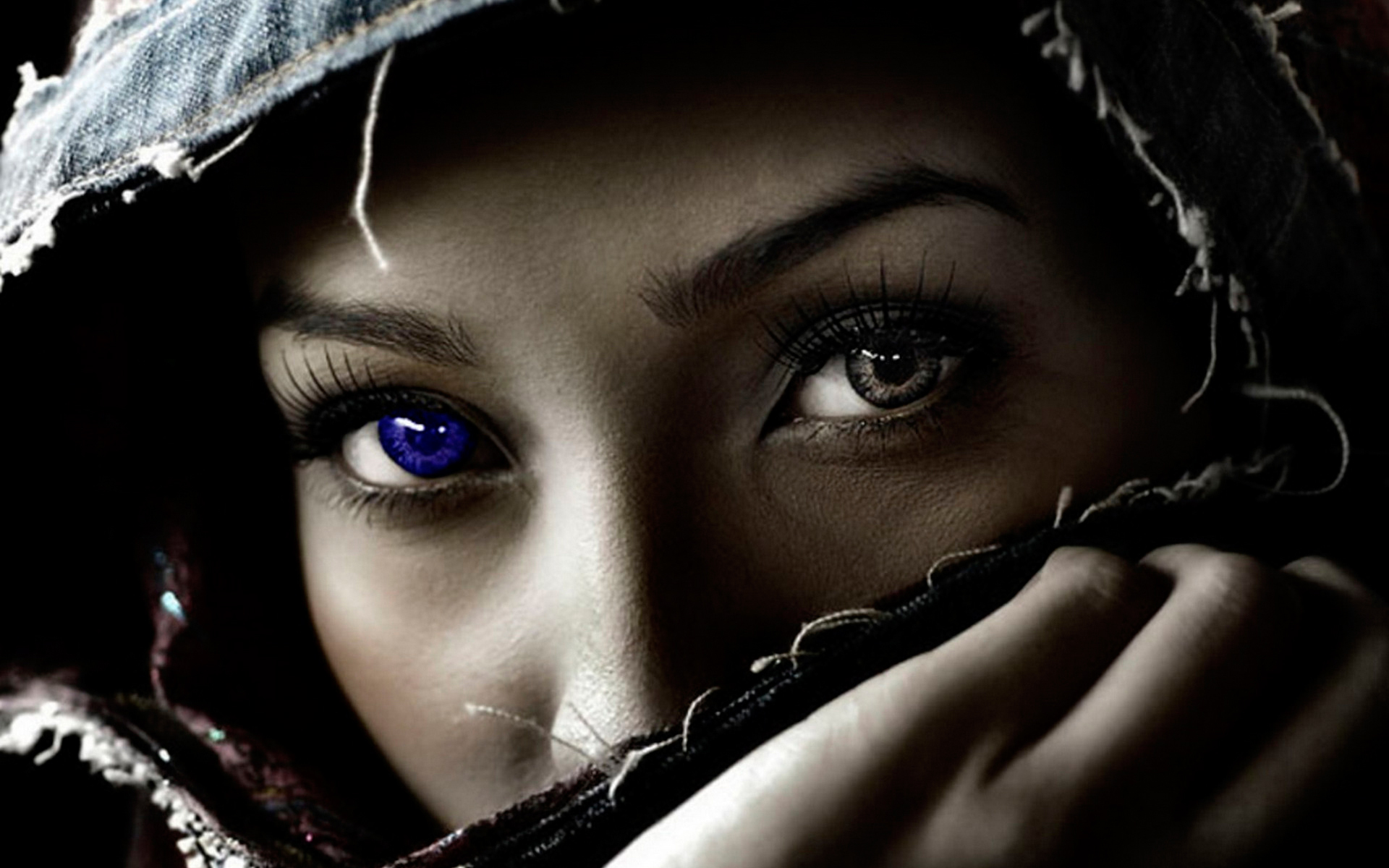 Arabic Eyes Wallpaper