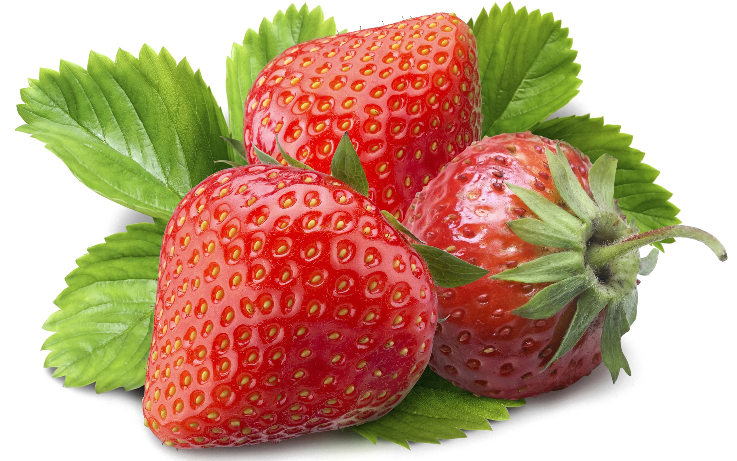 Strawberry Full HD Wallpaper and Background 2560x1600 ID367290