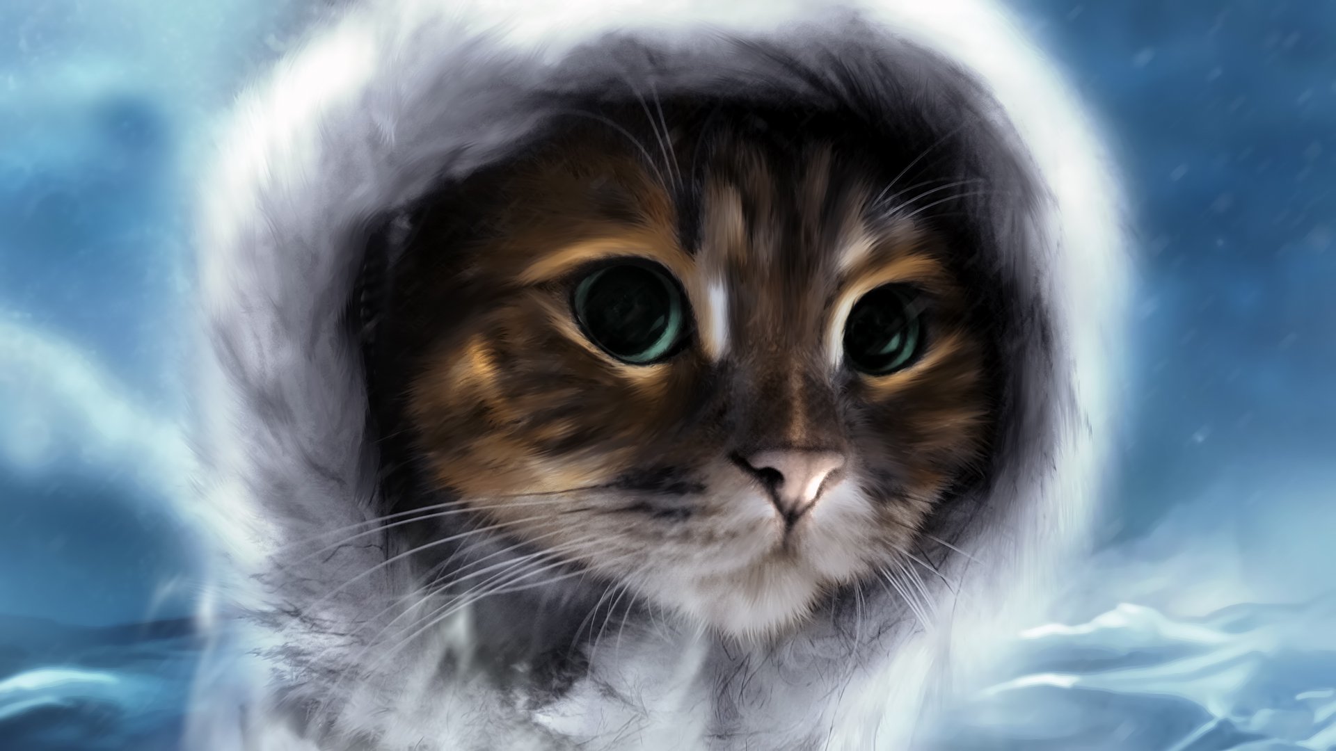 Cat HD Wallpaper Background Image 1920x1080