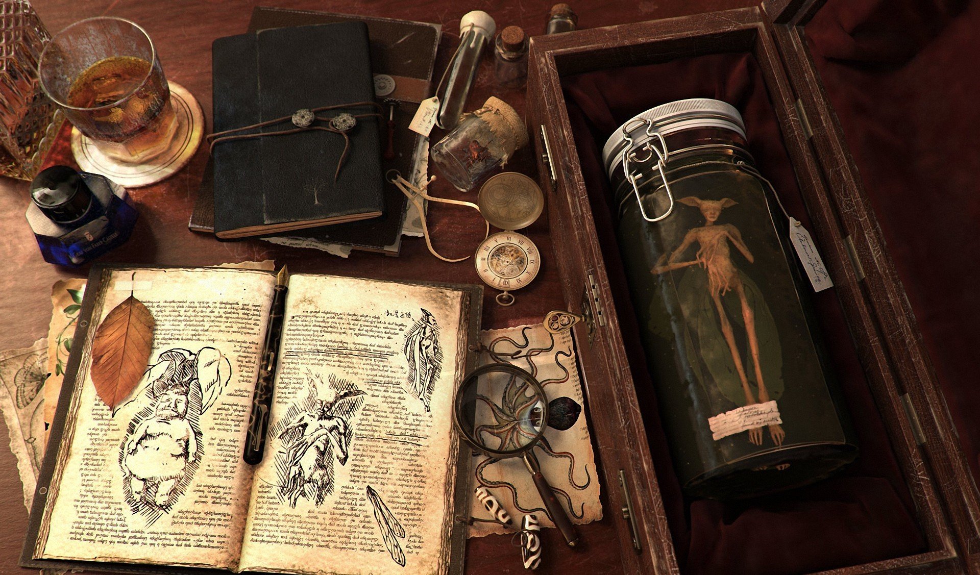 Still Life HD Wallpaper Background Image 1920x1127