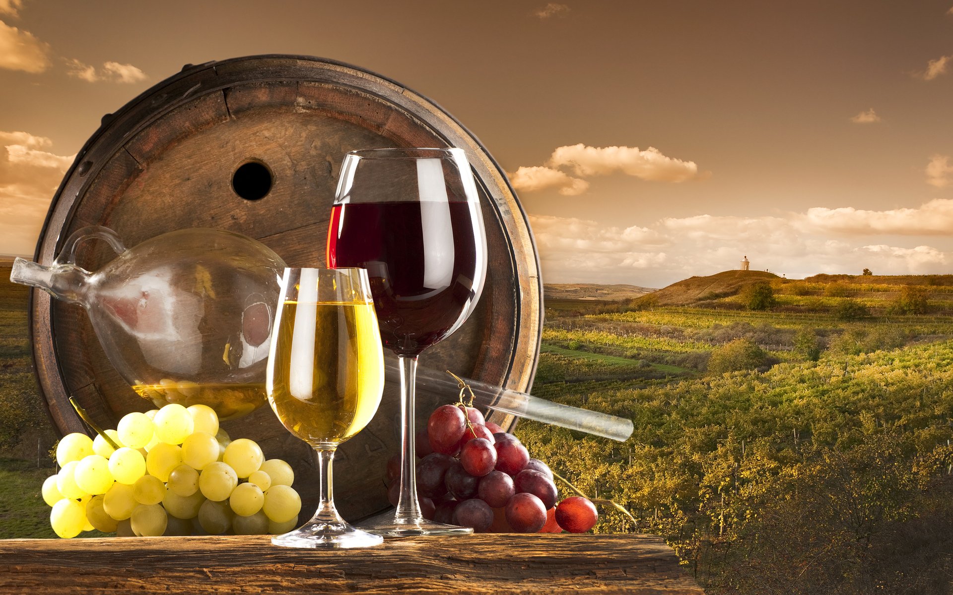 Wine HD Wallpaper Background Image 1920x1200 ID400253