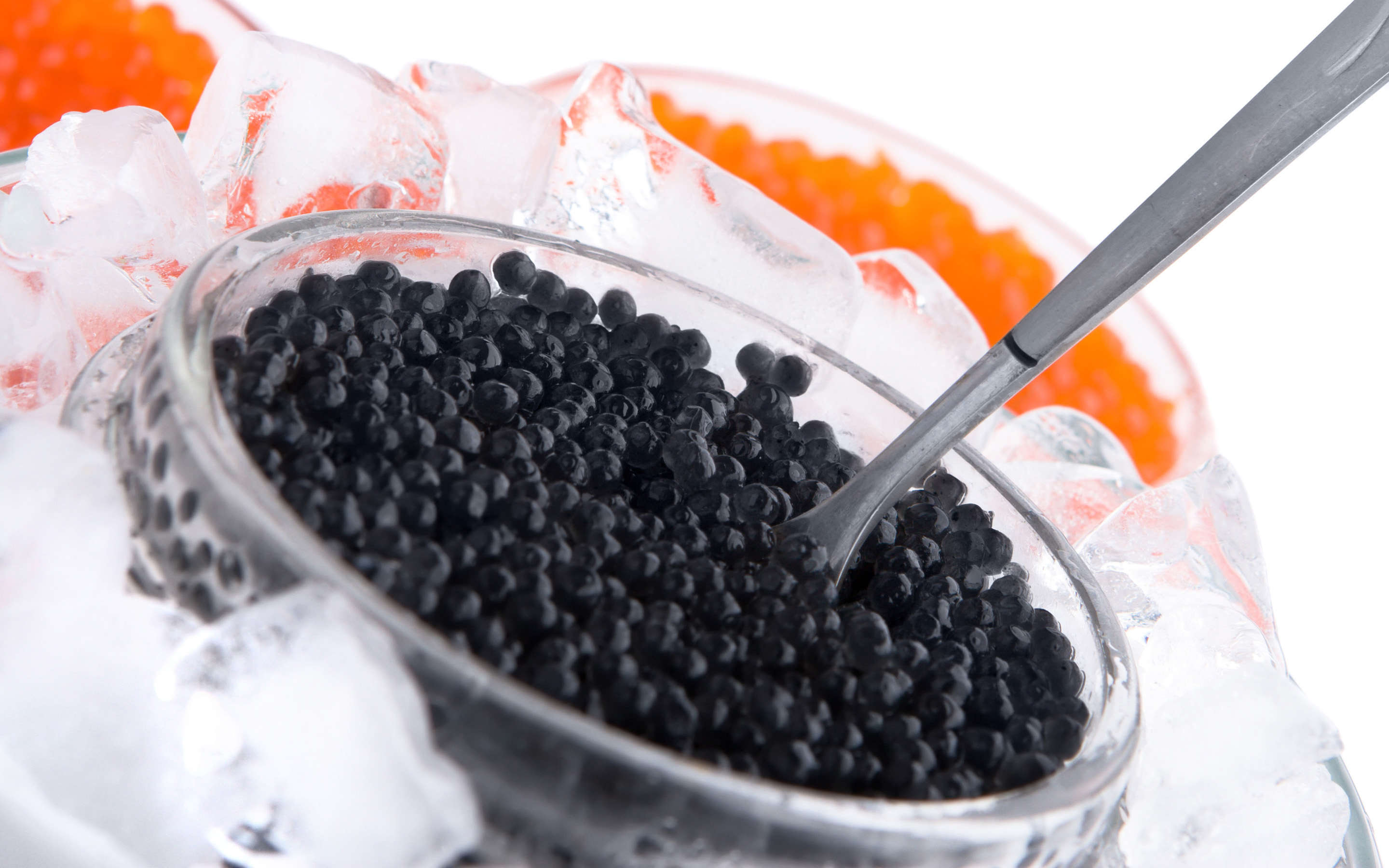 Caviar Full HD Wallpaper and Background Image 2880x1800 ID406871