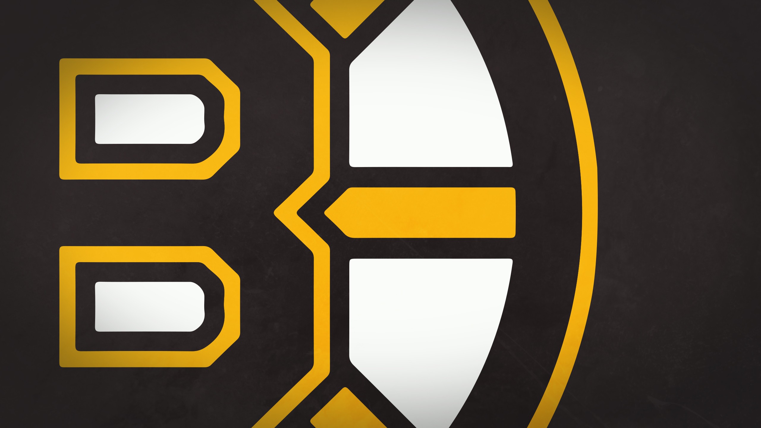 Boston Bruins HD Wallpaper Background Image 2560x1440