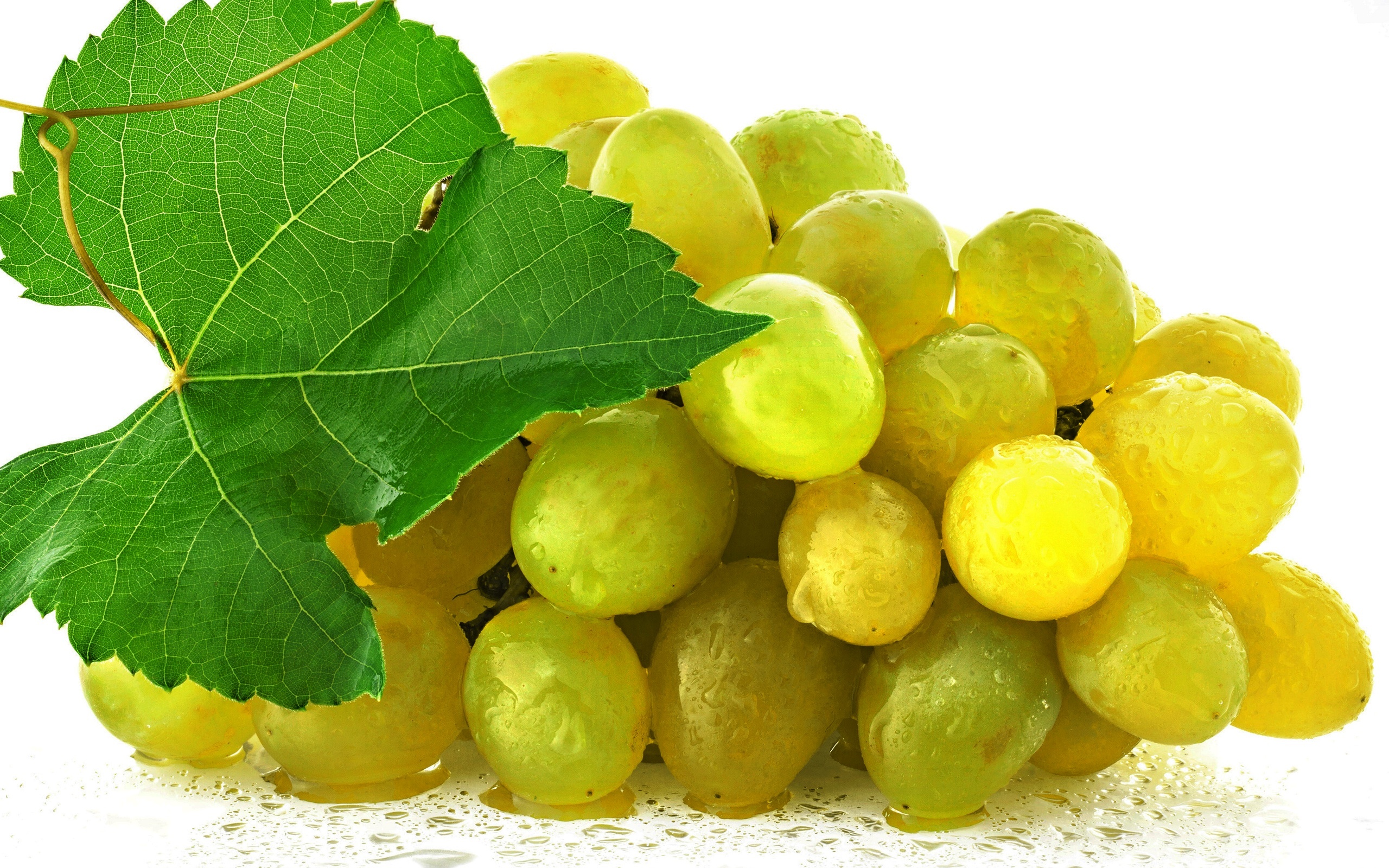 Delicious Grapes HD Wallpaper for Food Lovers