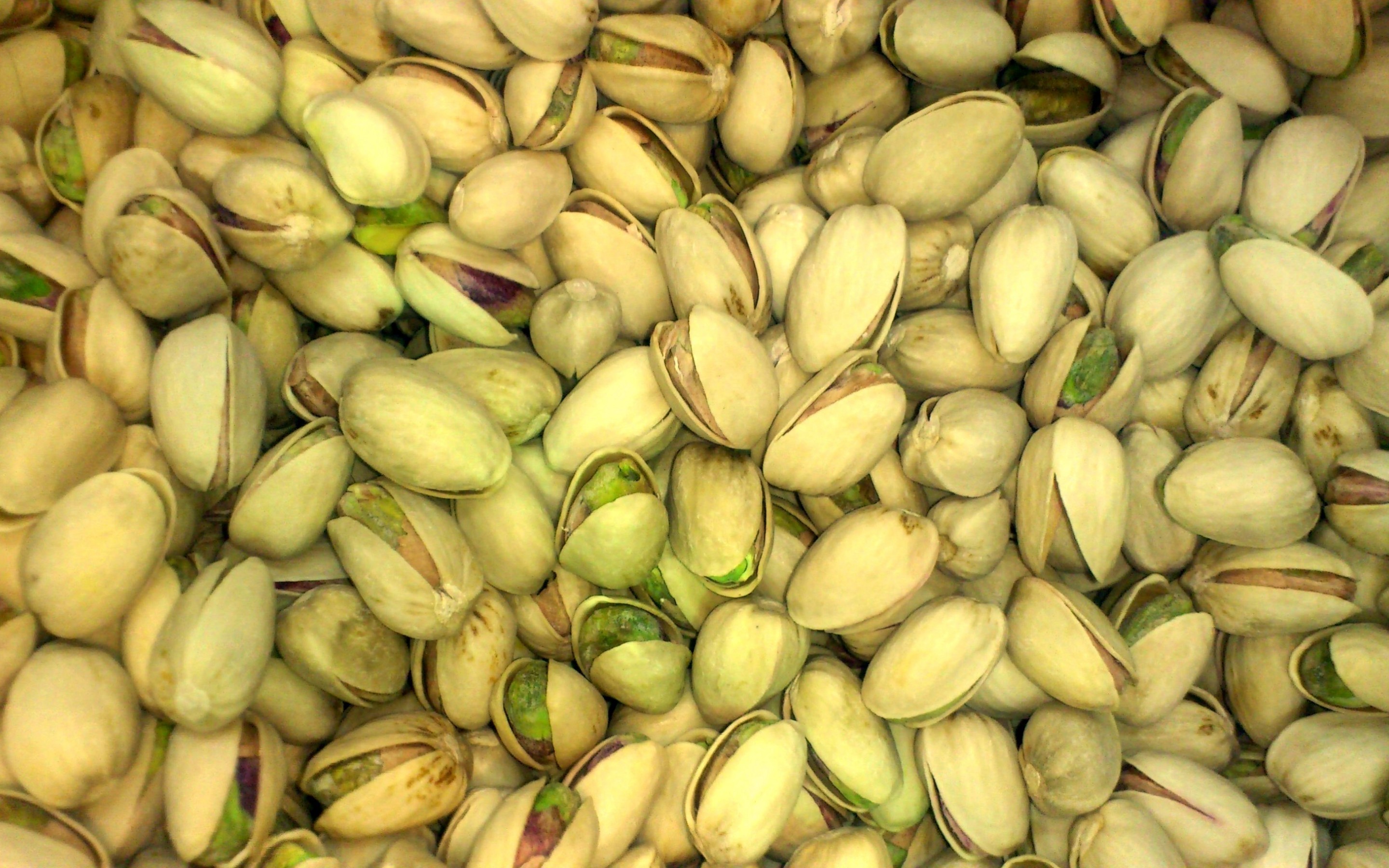 Pistachio HD Wallpaper