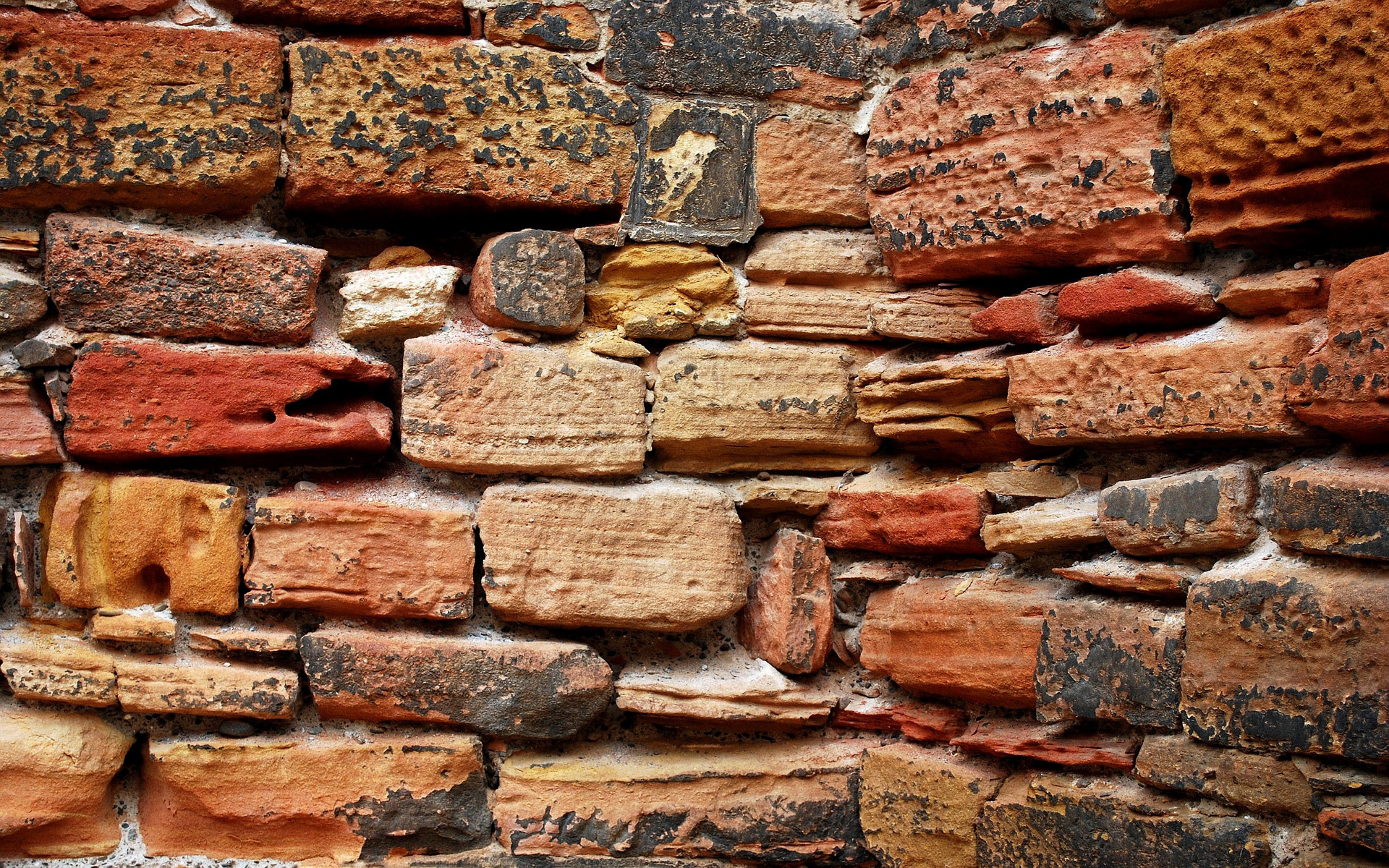 Brick Full HD Wallpaper and Background Image 1920x1200 ID430626