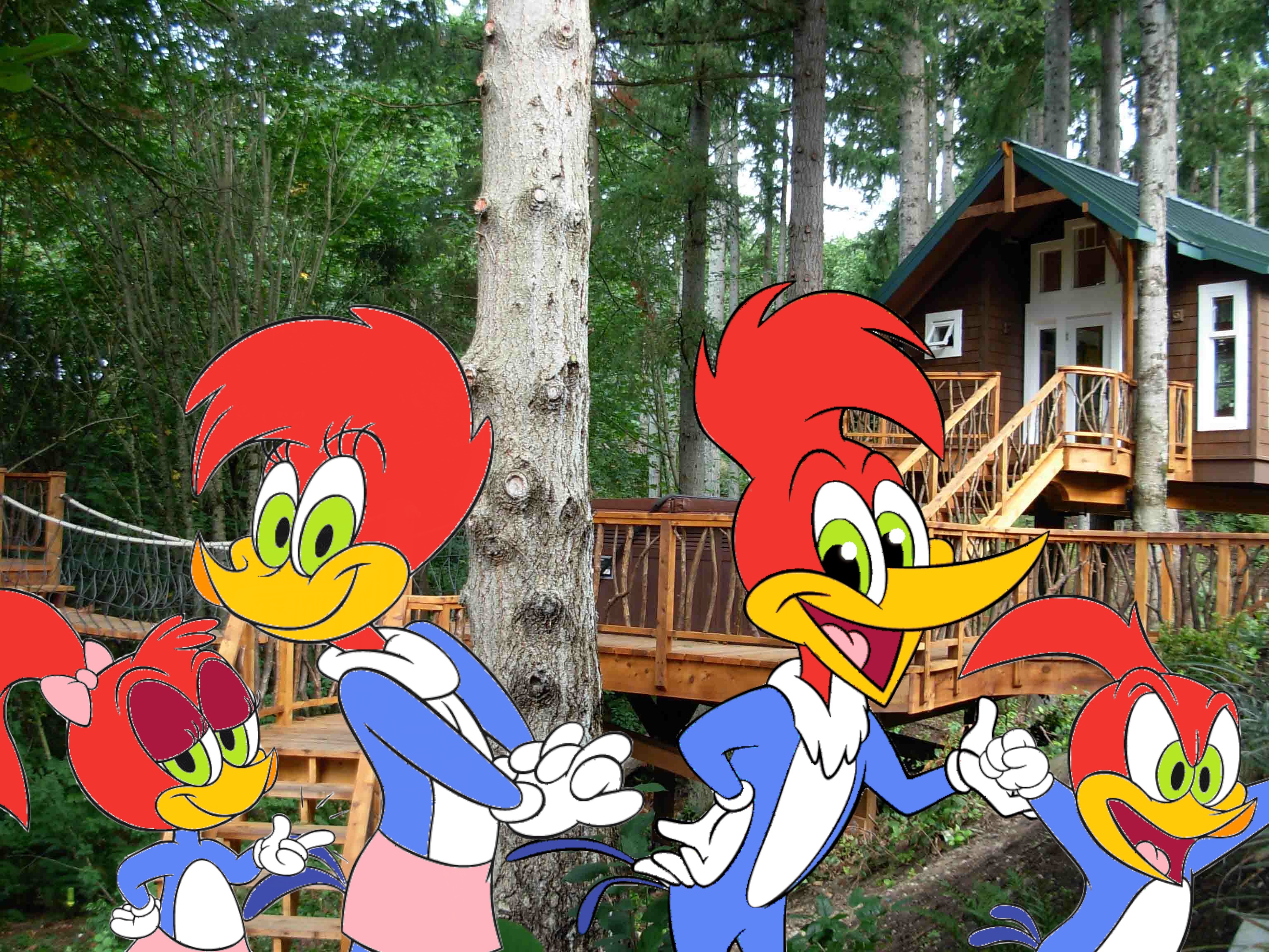 Download TV Show Woody Woodpecker HD Wallpaper