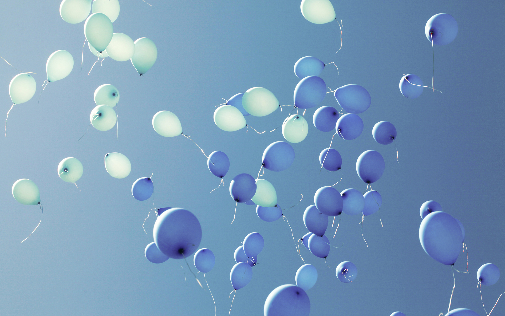 Download Photography Balloon HD Wallpaper