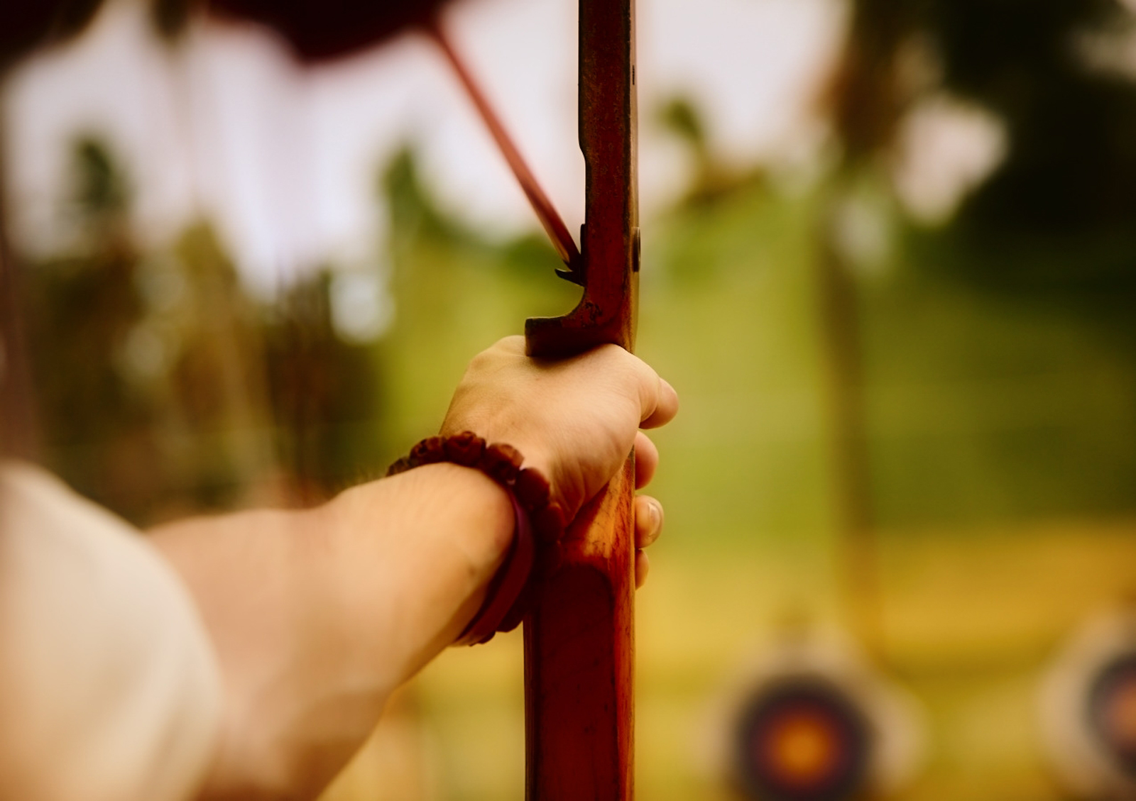 archery Wallpaper and Background Image 1600x1129 ID437166