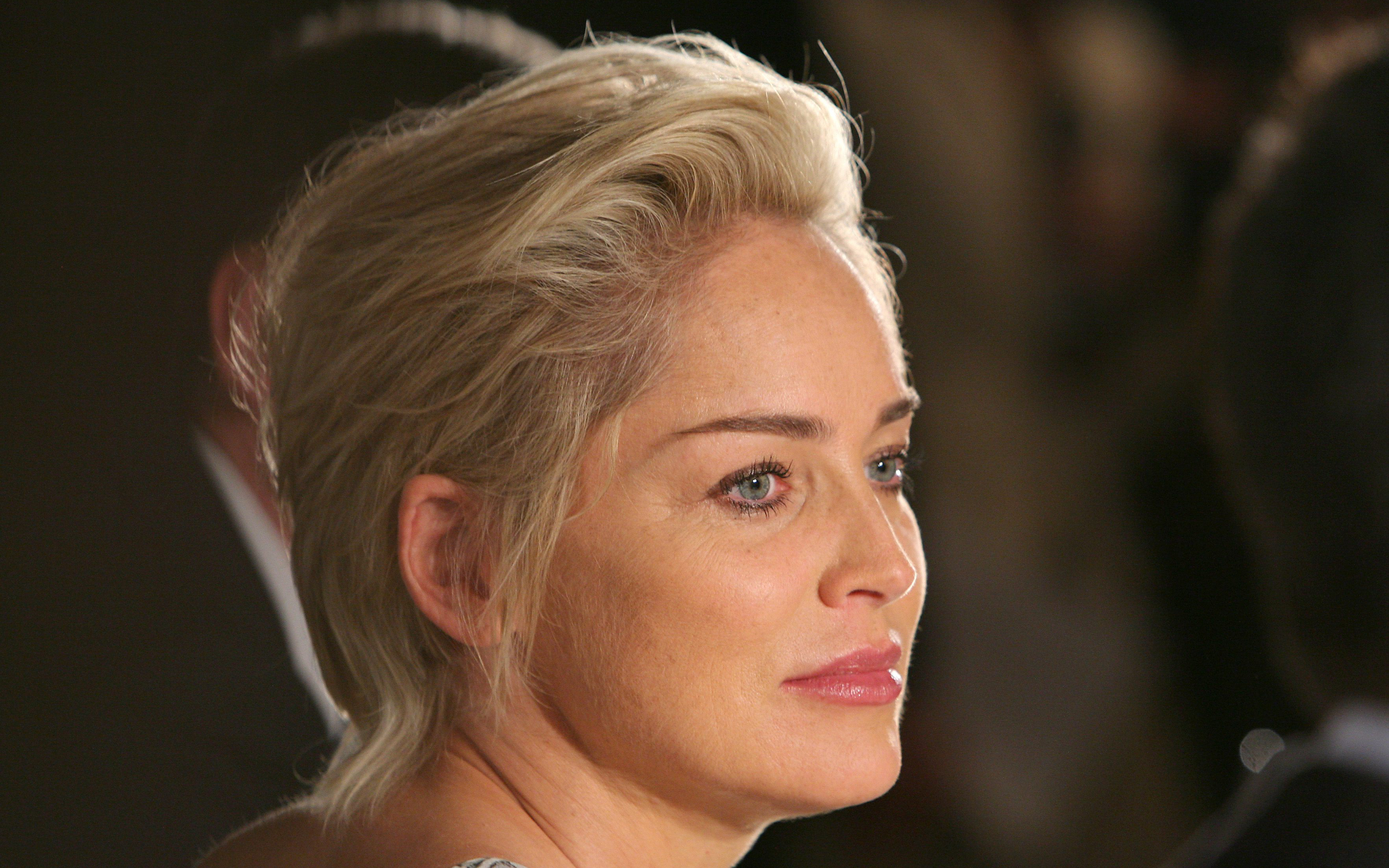 Sharon Stone HD Wallpaper Background Image 3520x2200